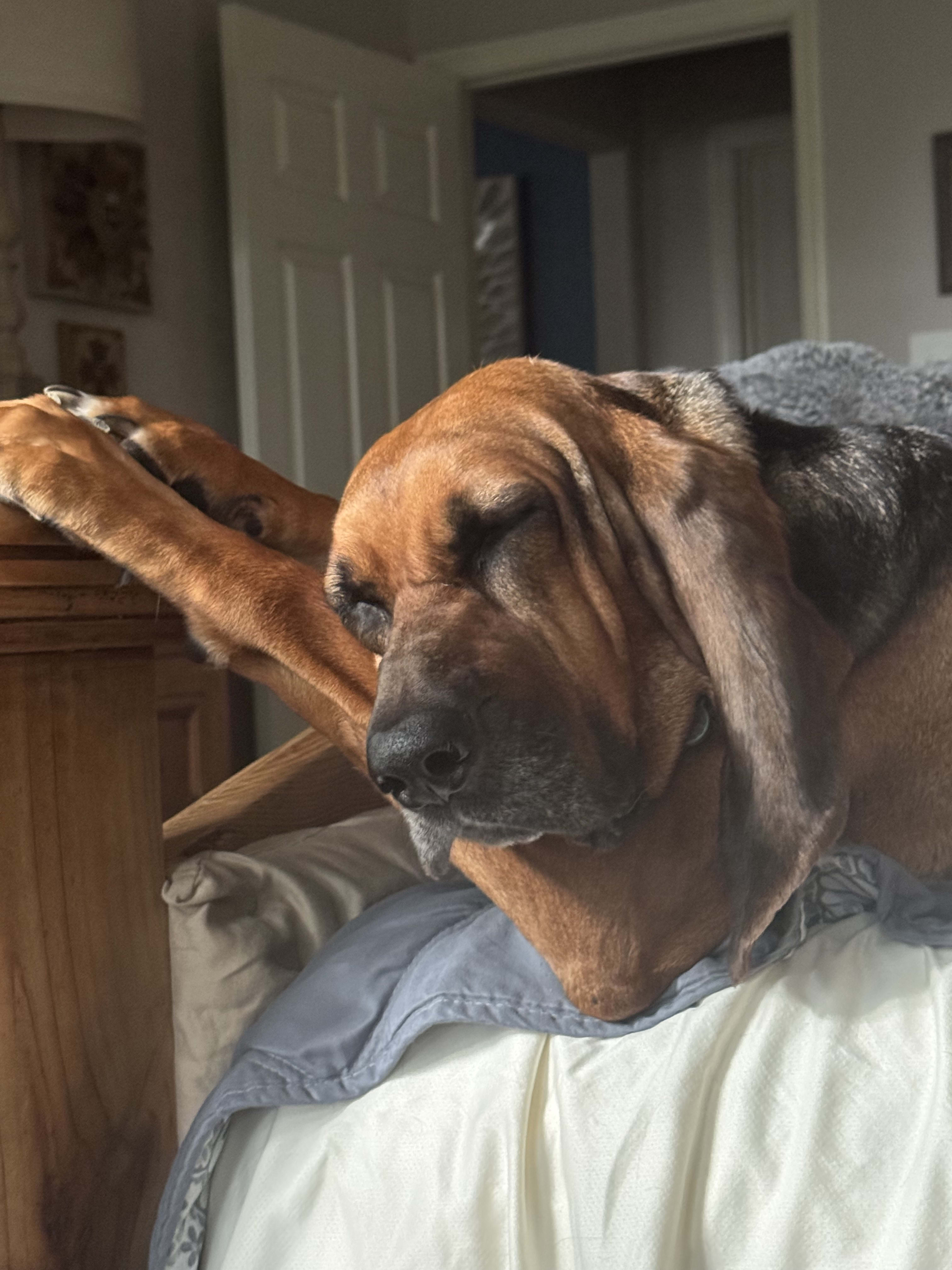 Lucille Lucille