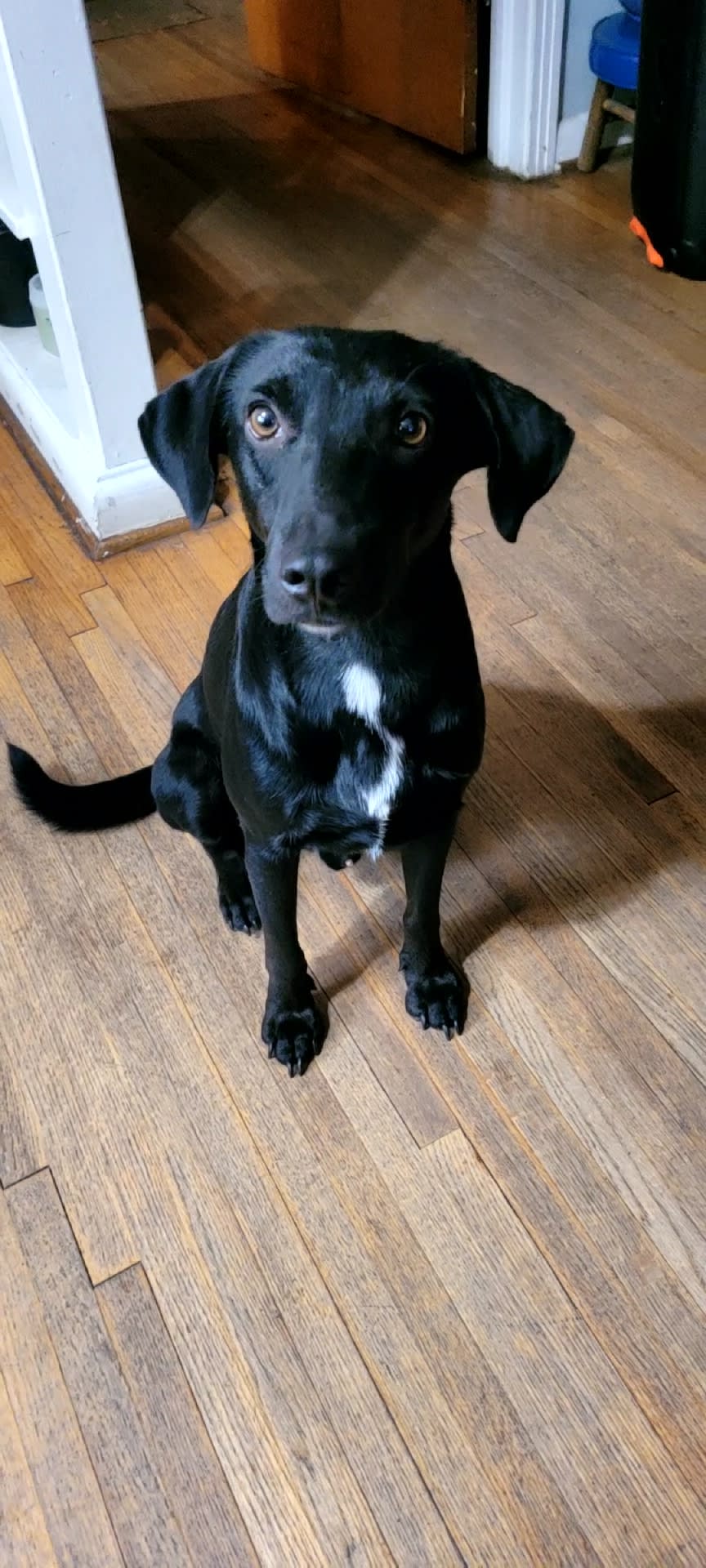 Roxy