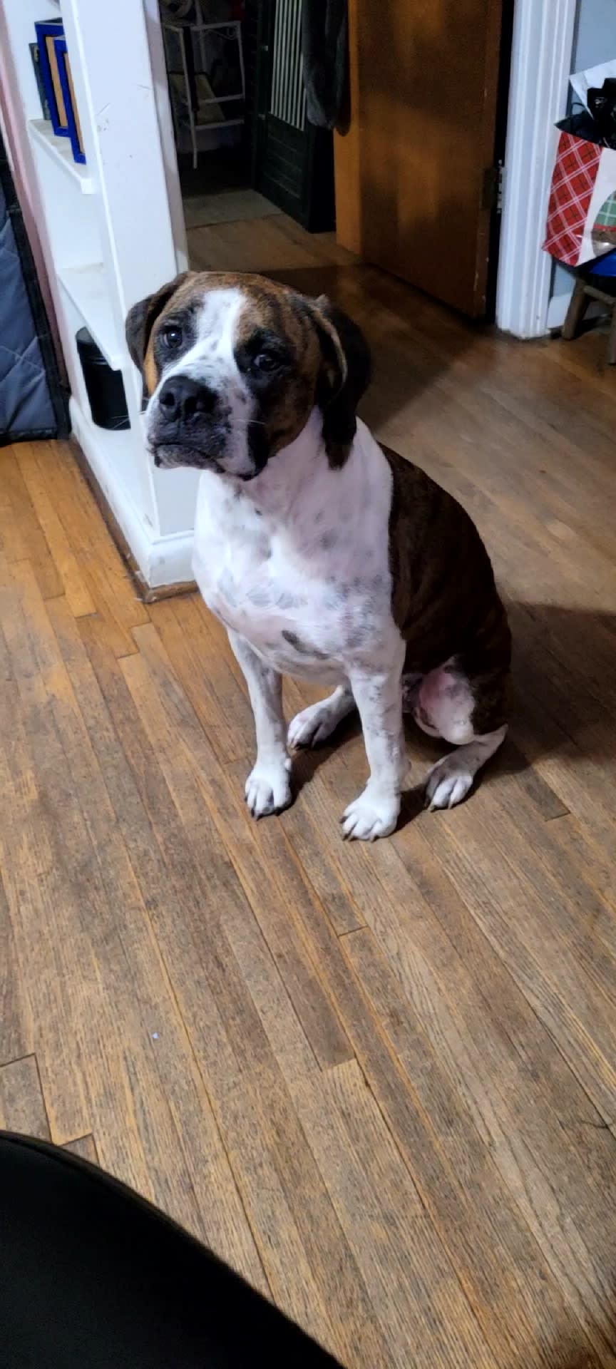 Roxy