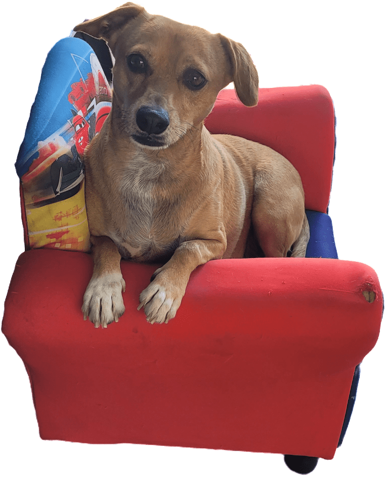 Roxy