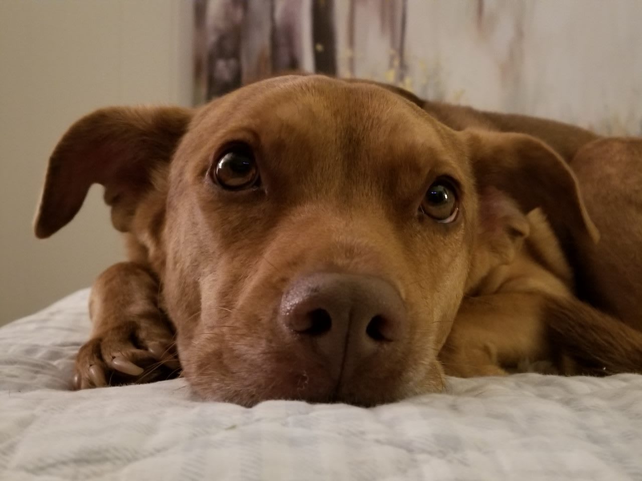 Ruby