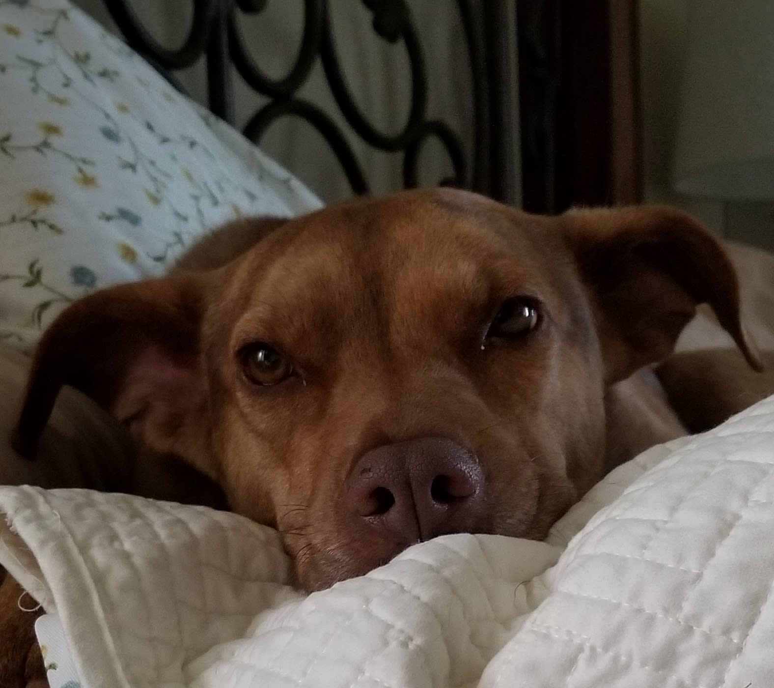 Ruby