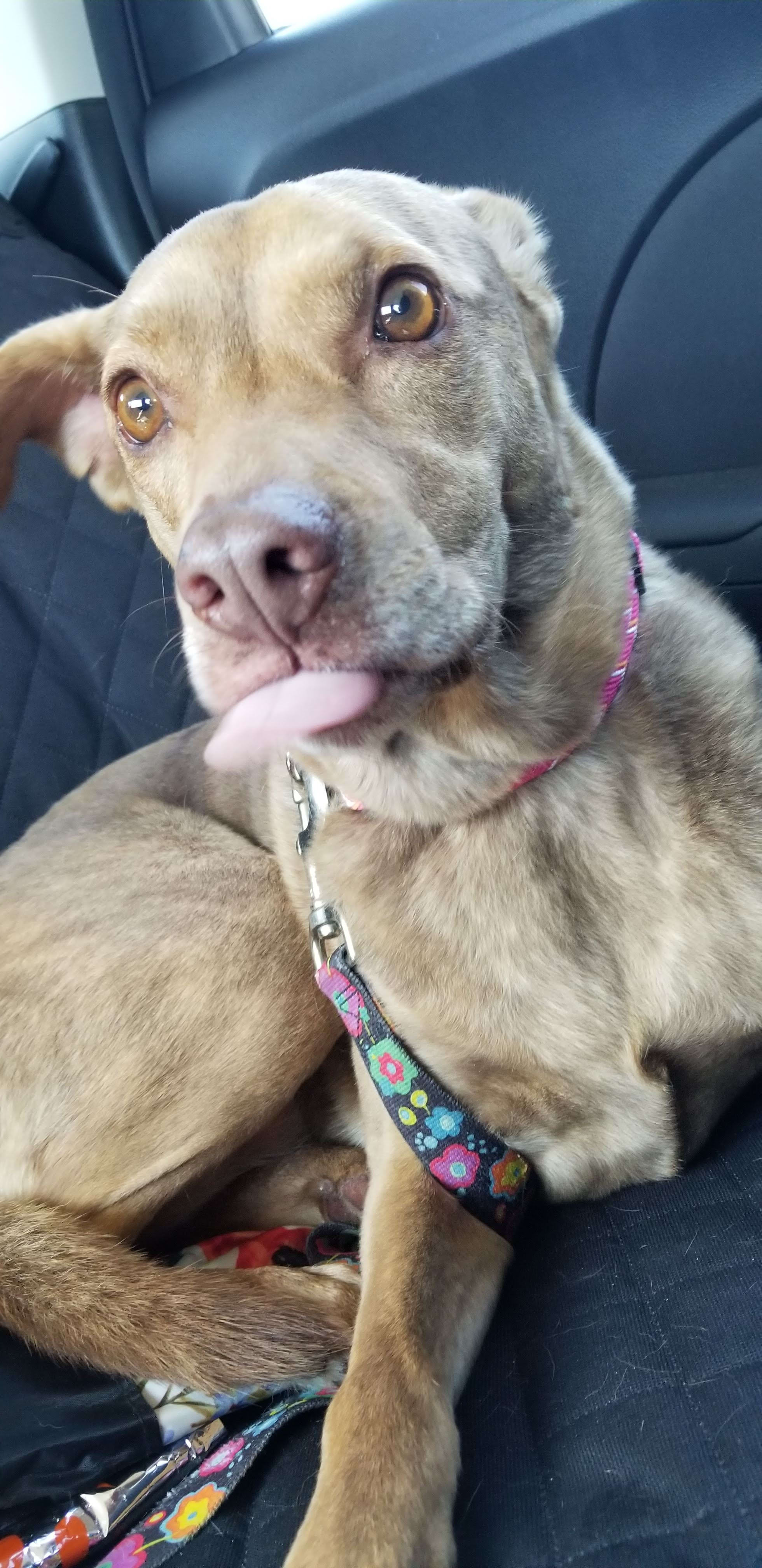 Ruby