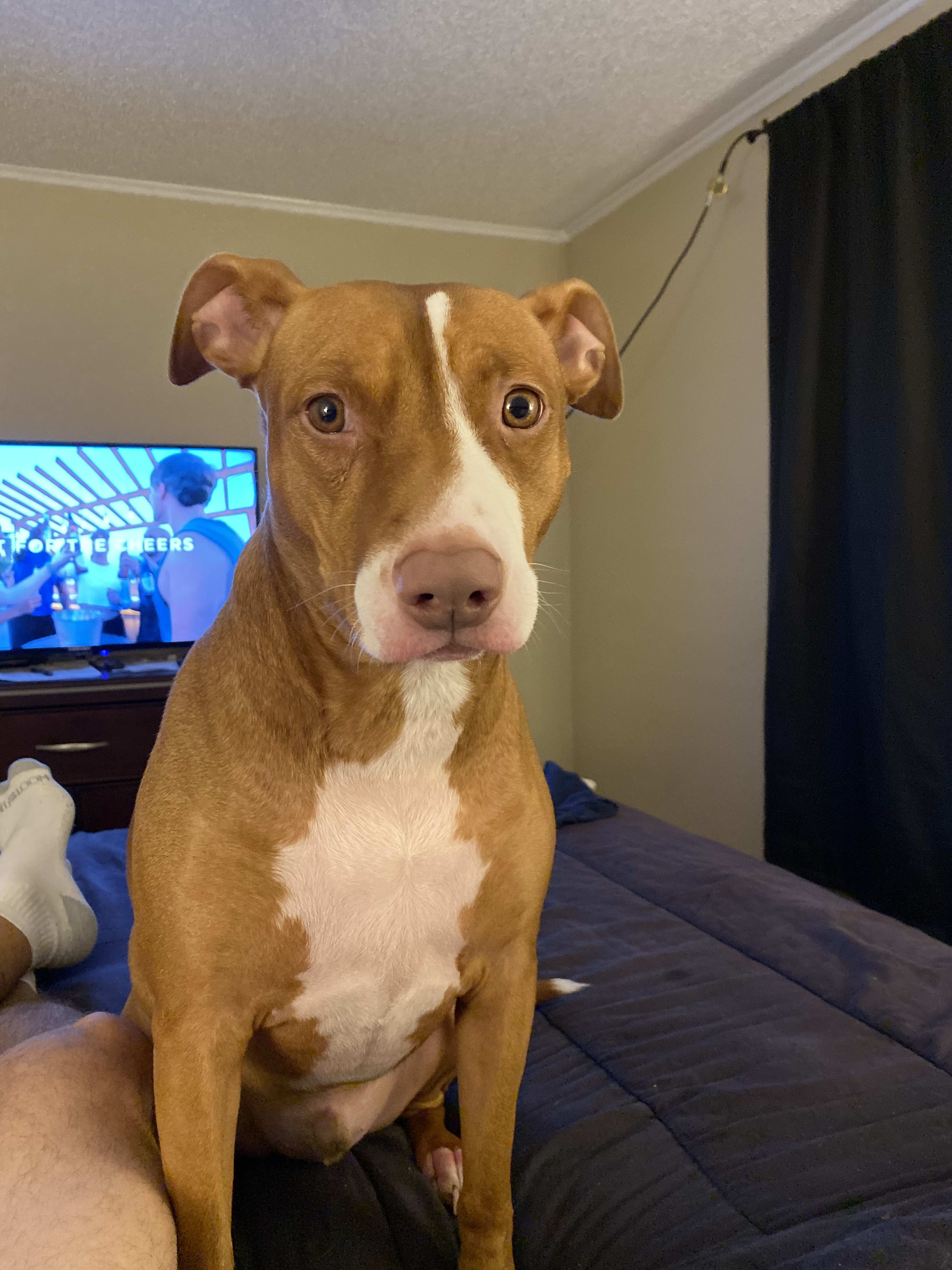 Zeus