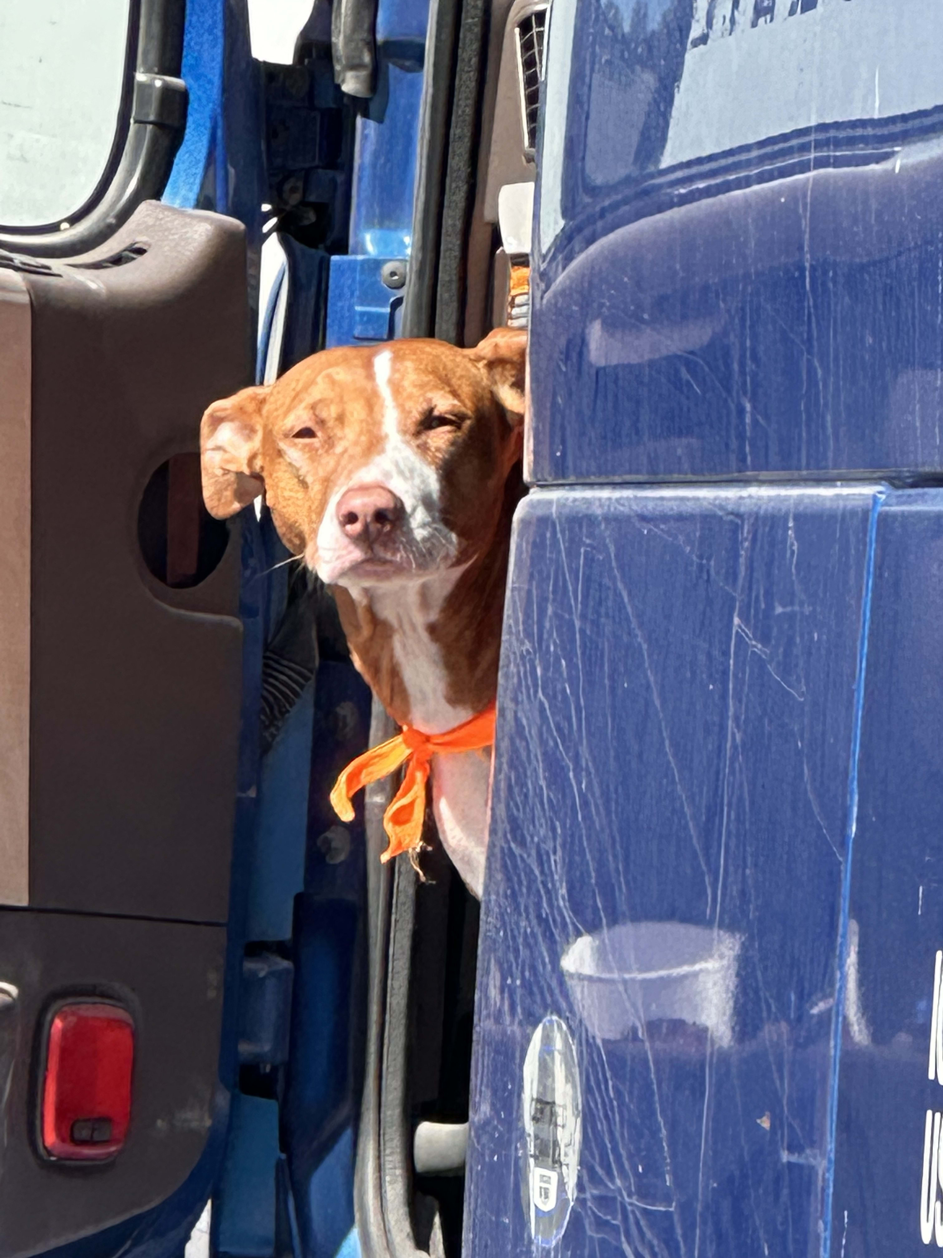 Zeus