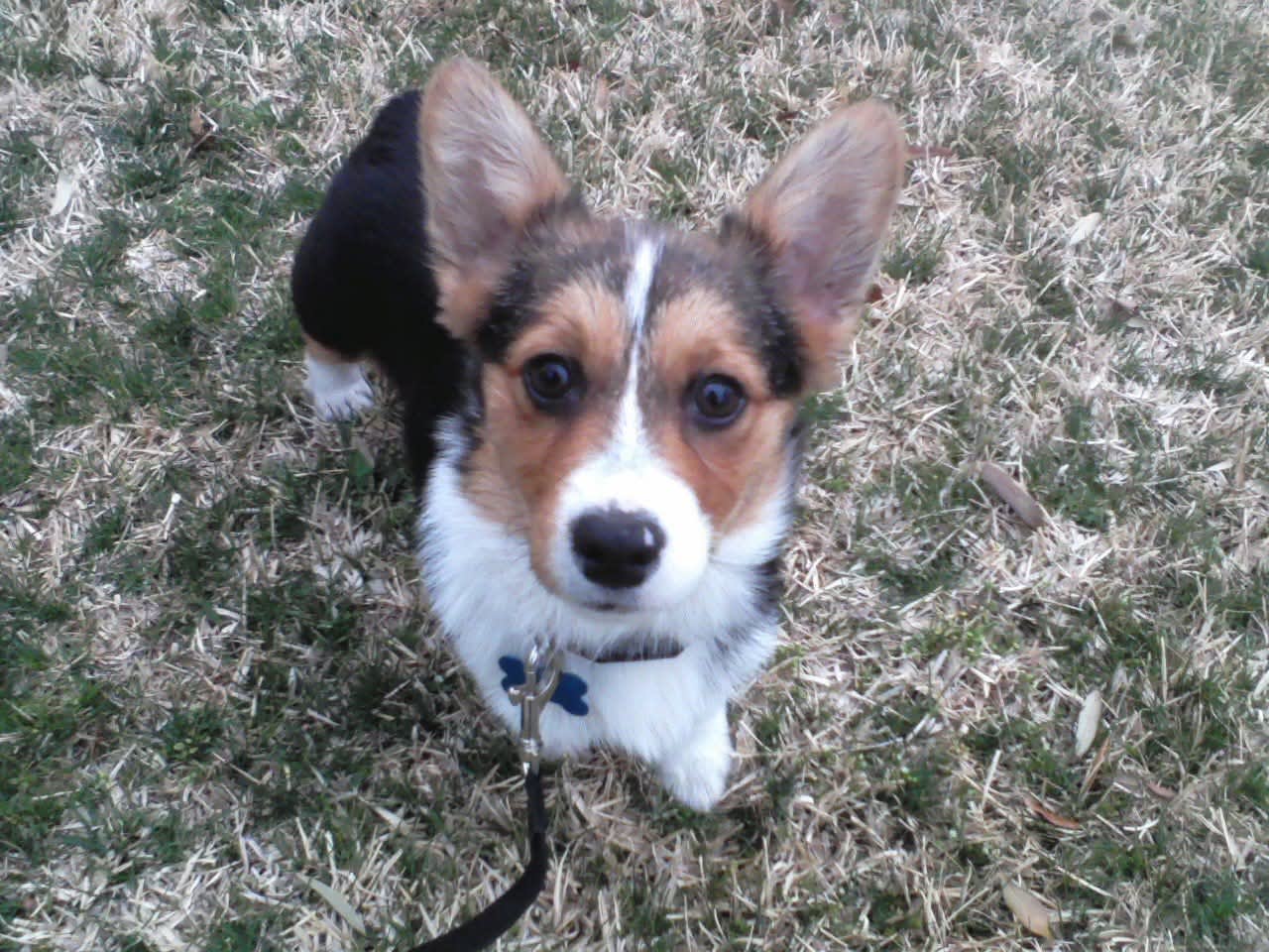 Rusty