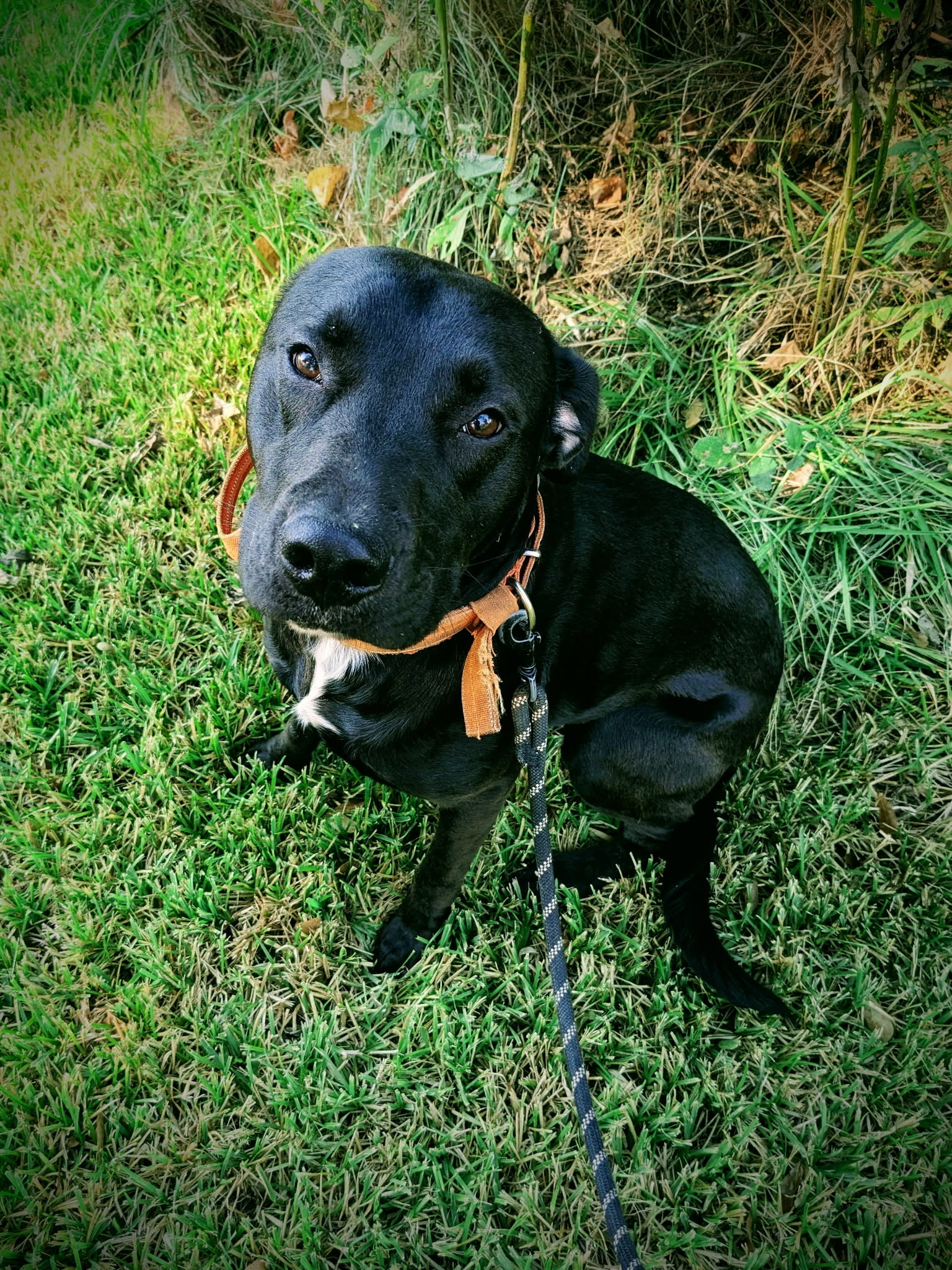 Rusty
