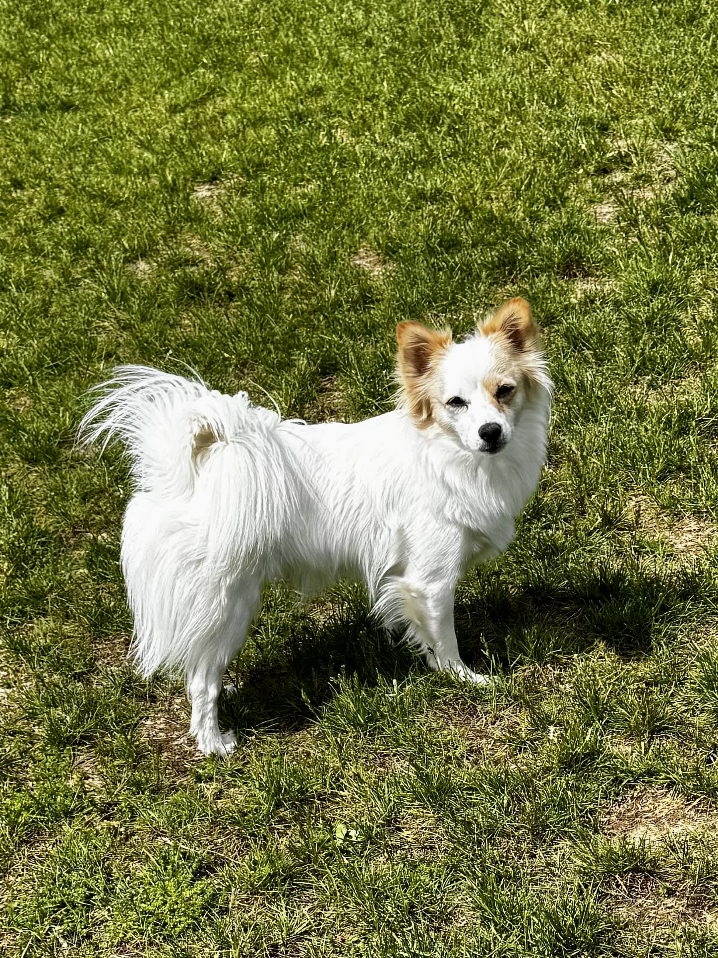 Jack