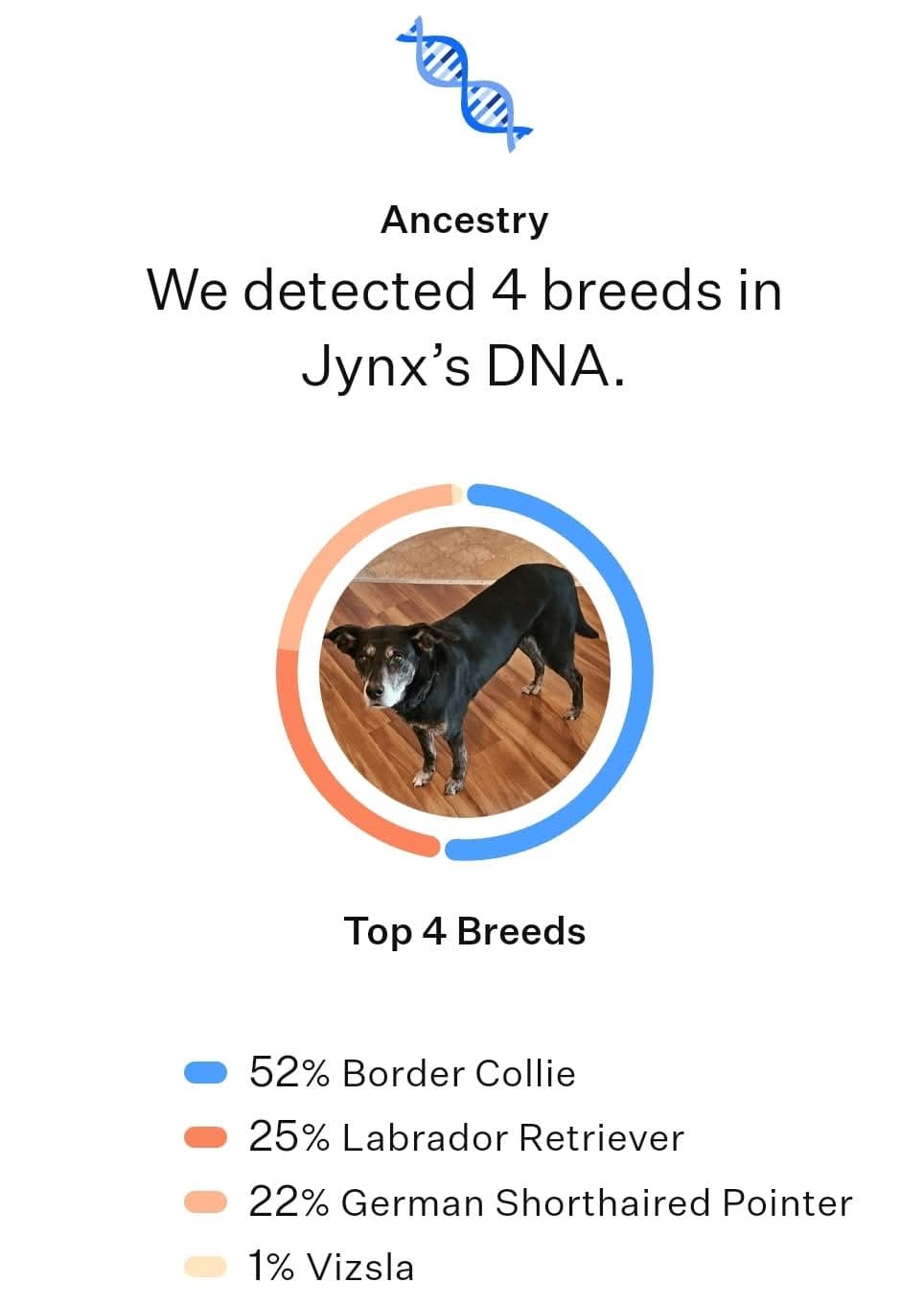 Jynx