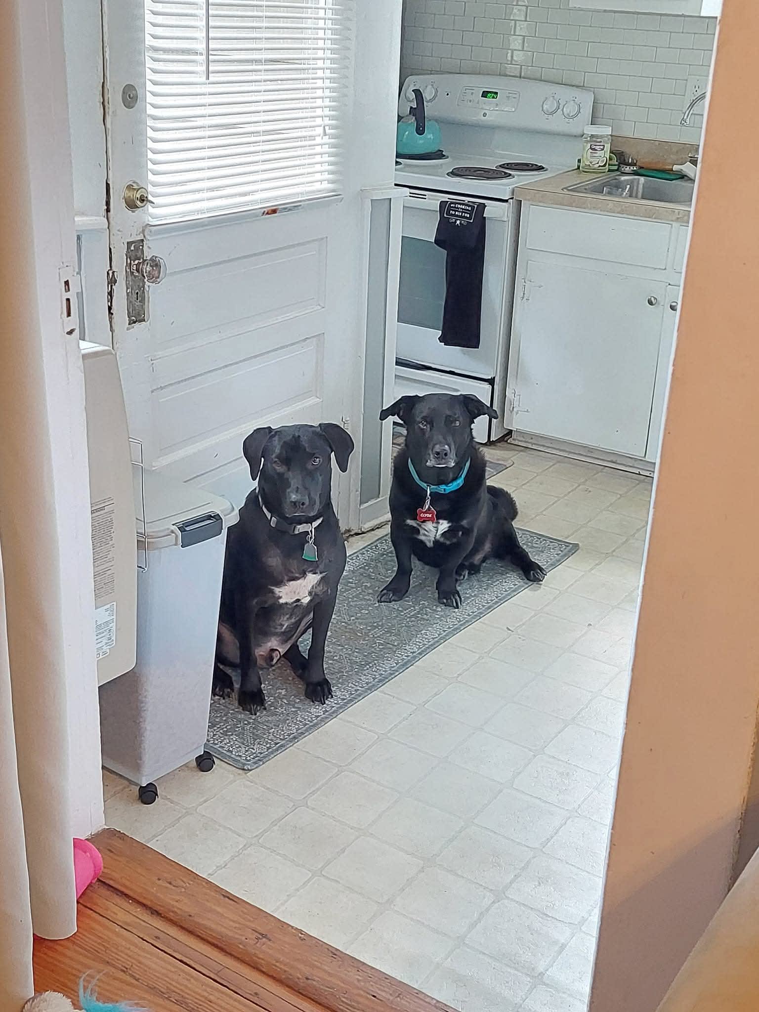 Clyde and Milo Clyde and Milo