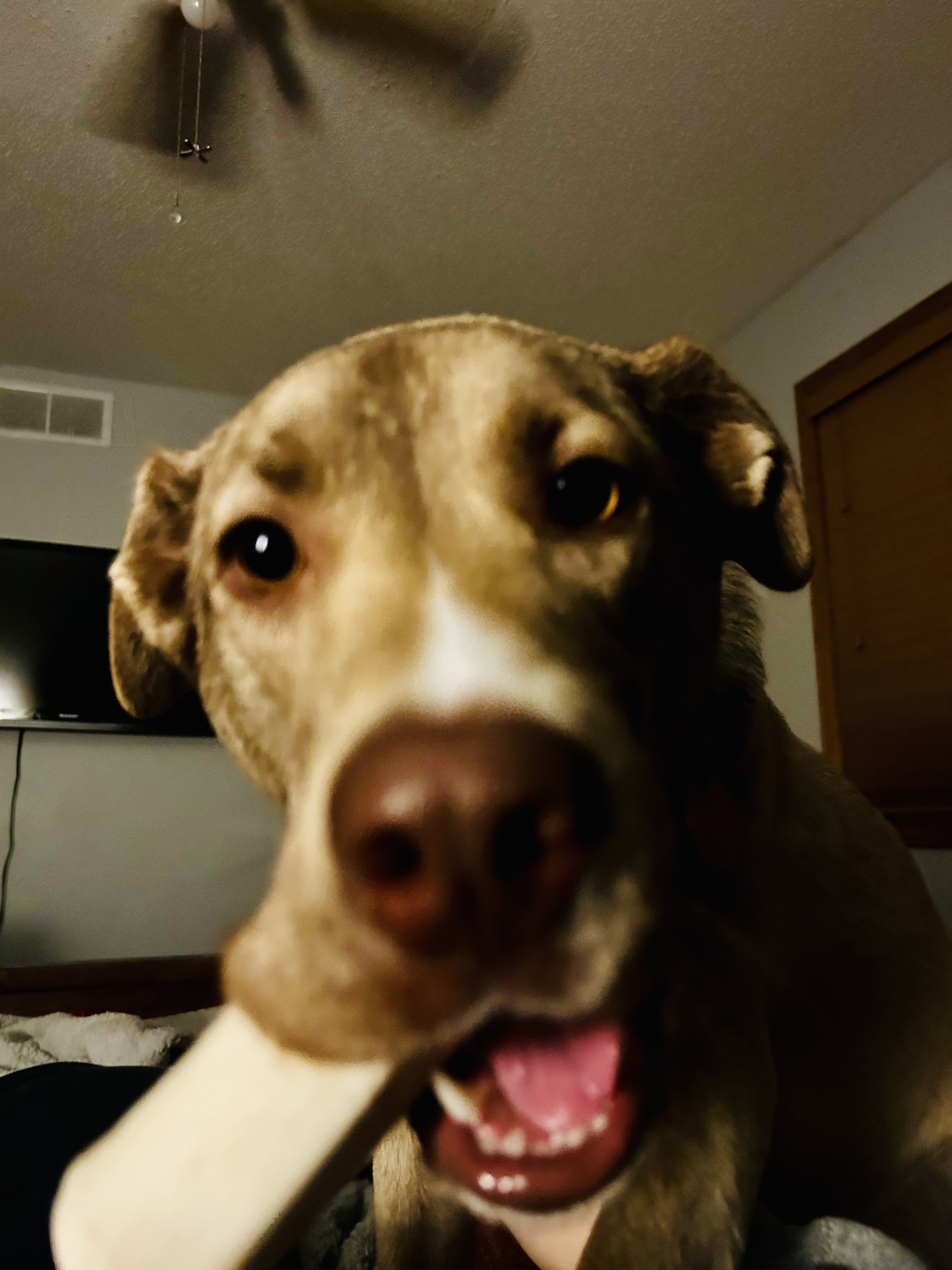 Tilly