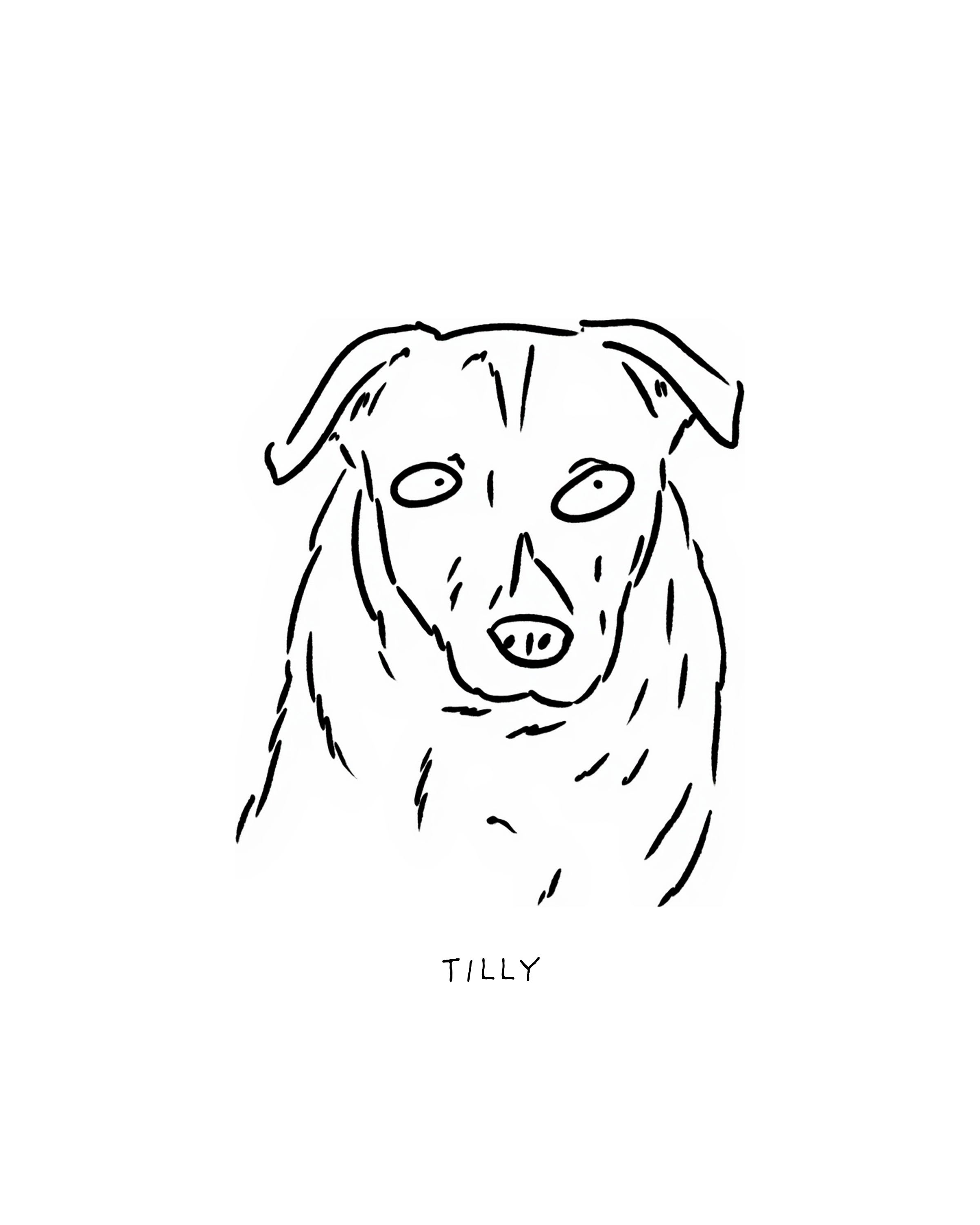 Tilly