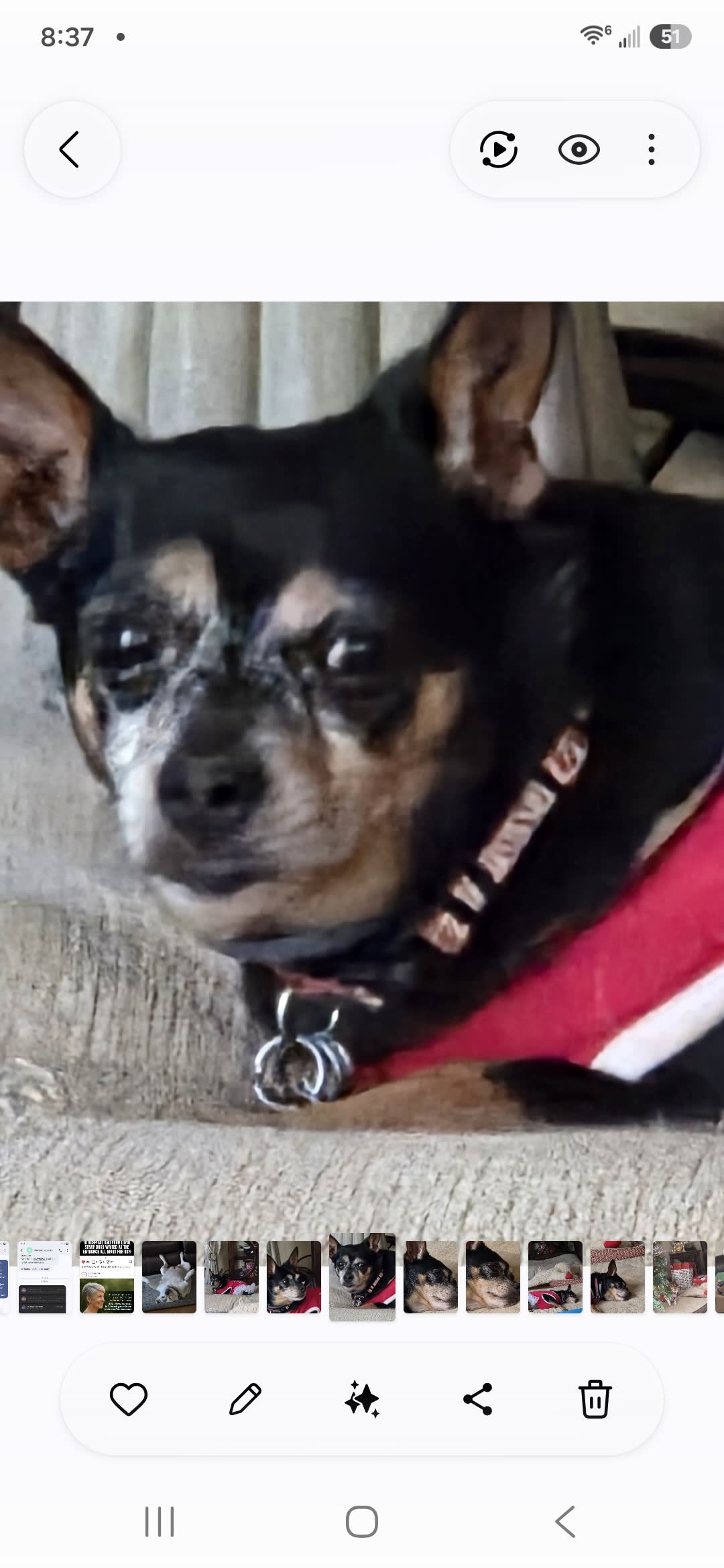 Gracie