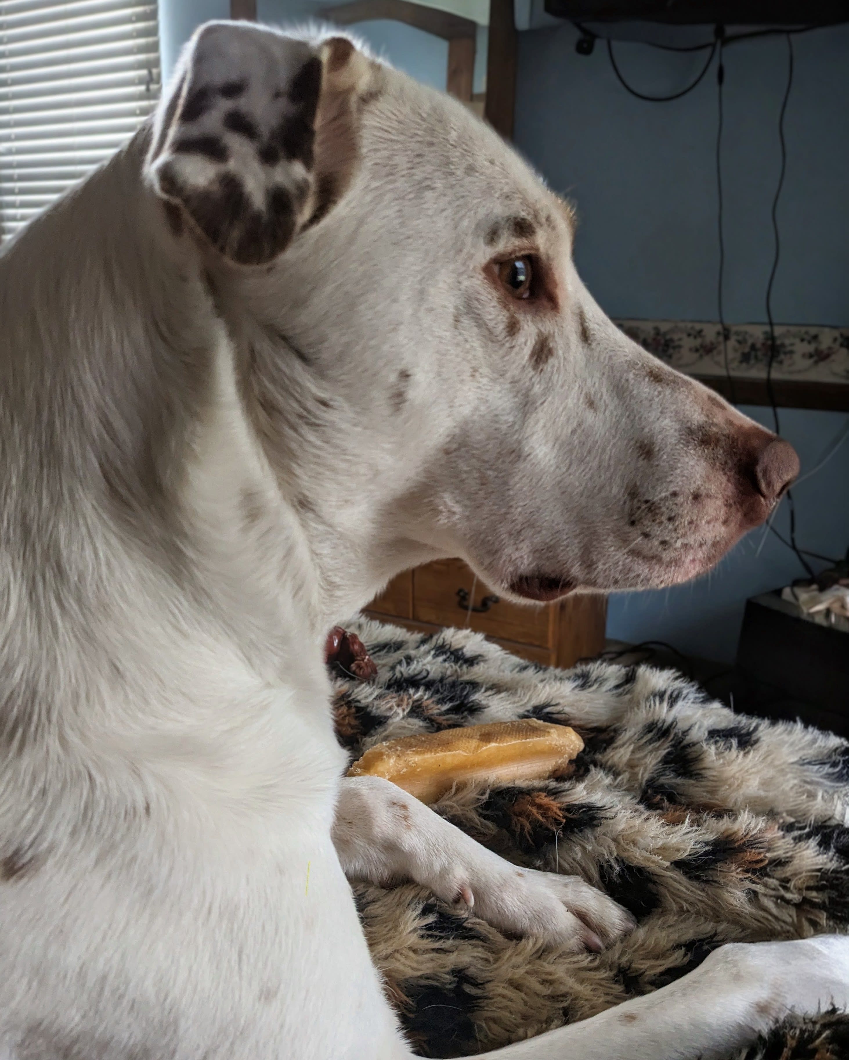Fiona