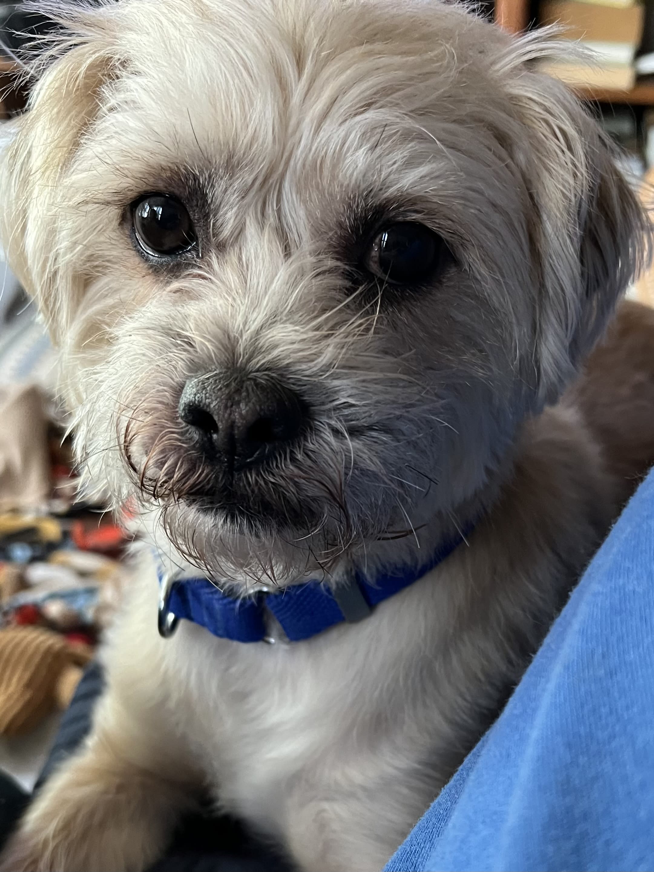 Max