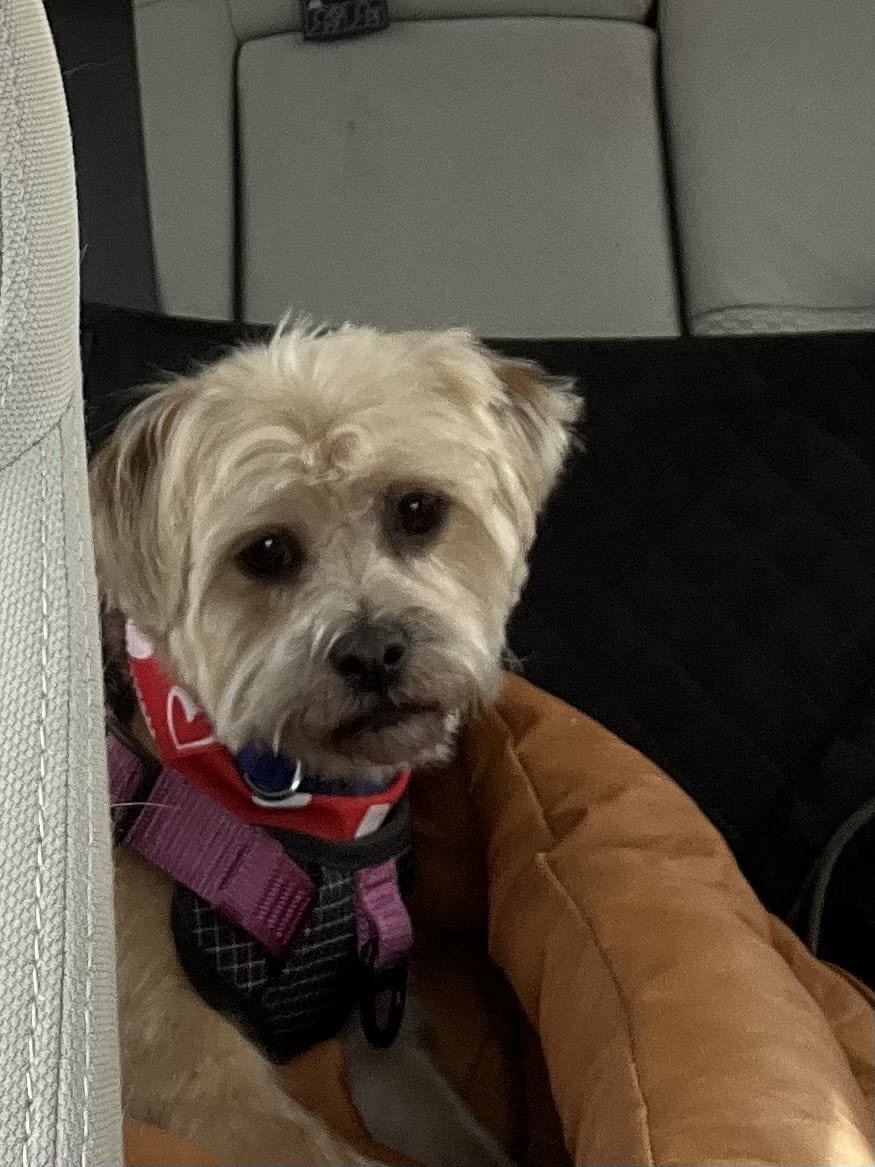 Max