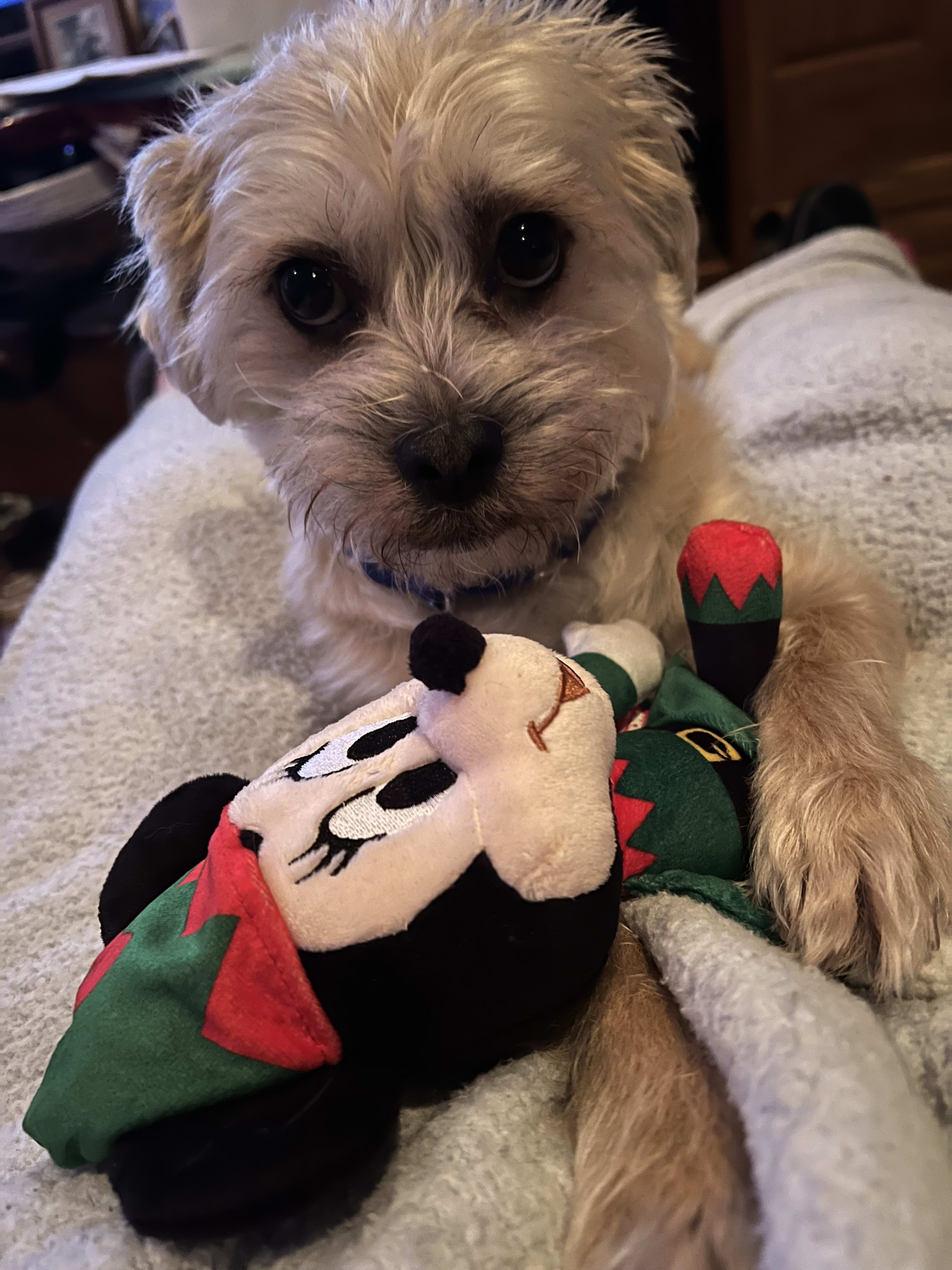 Max
