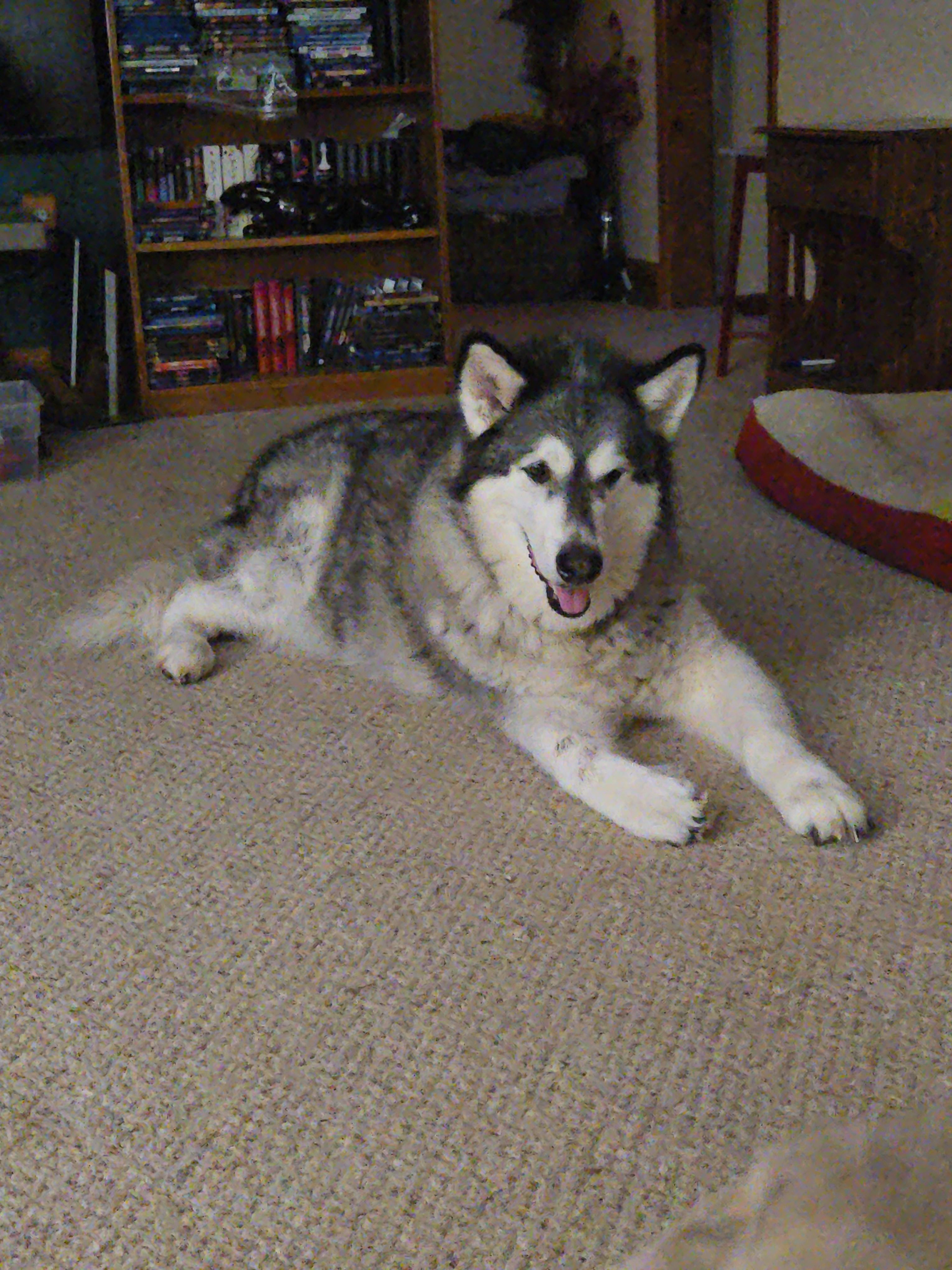 Nala