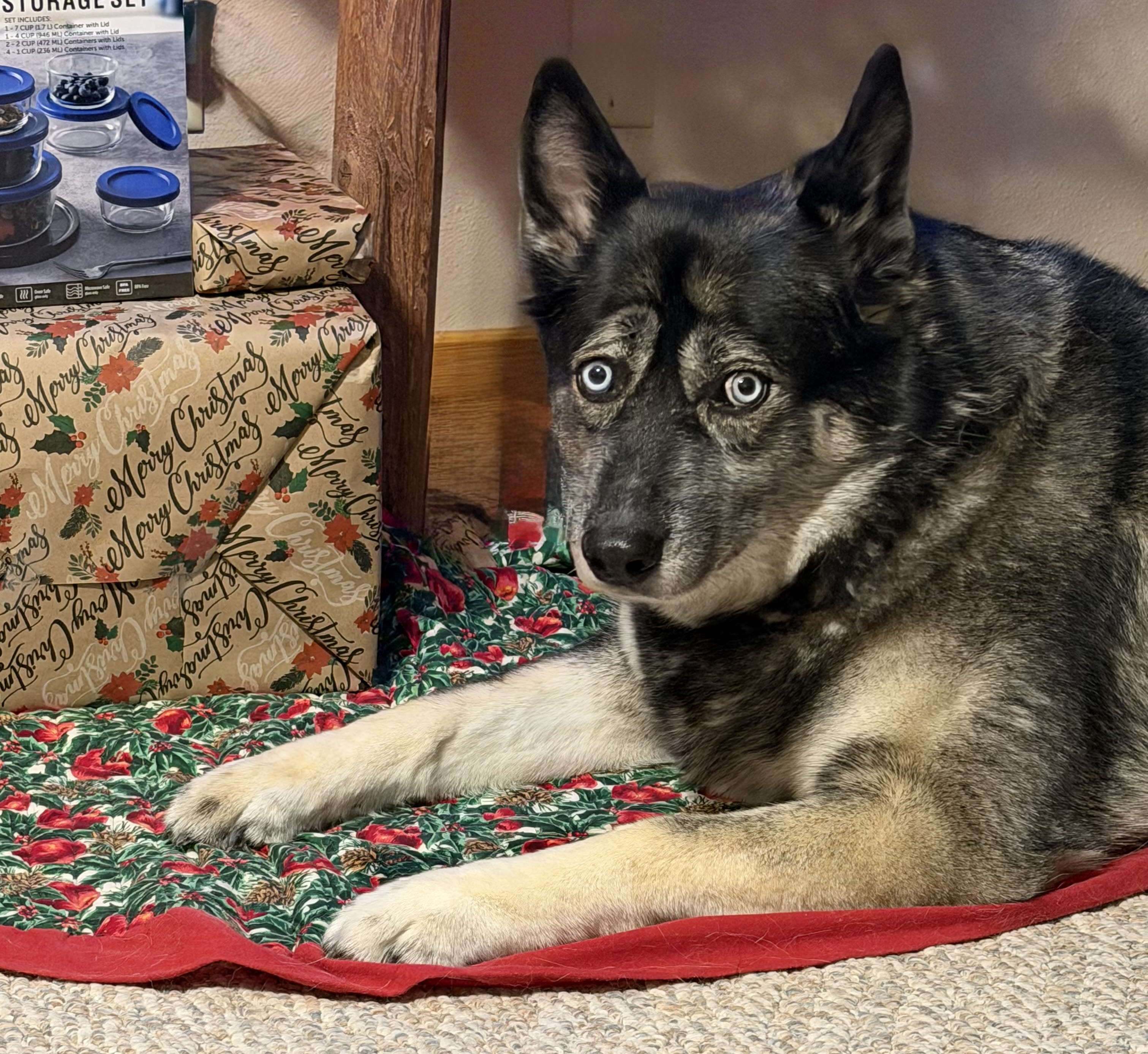 Kira