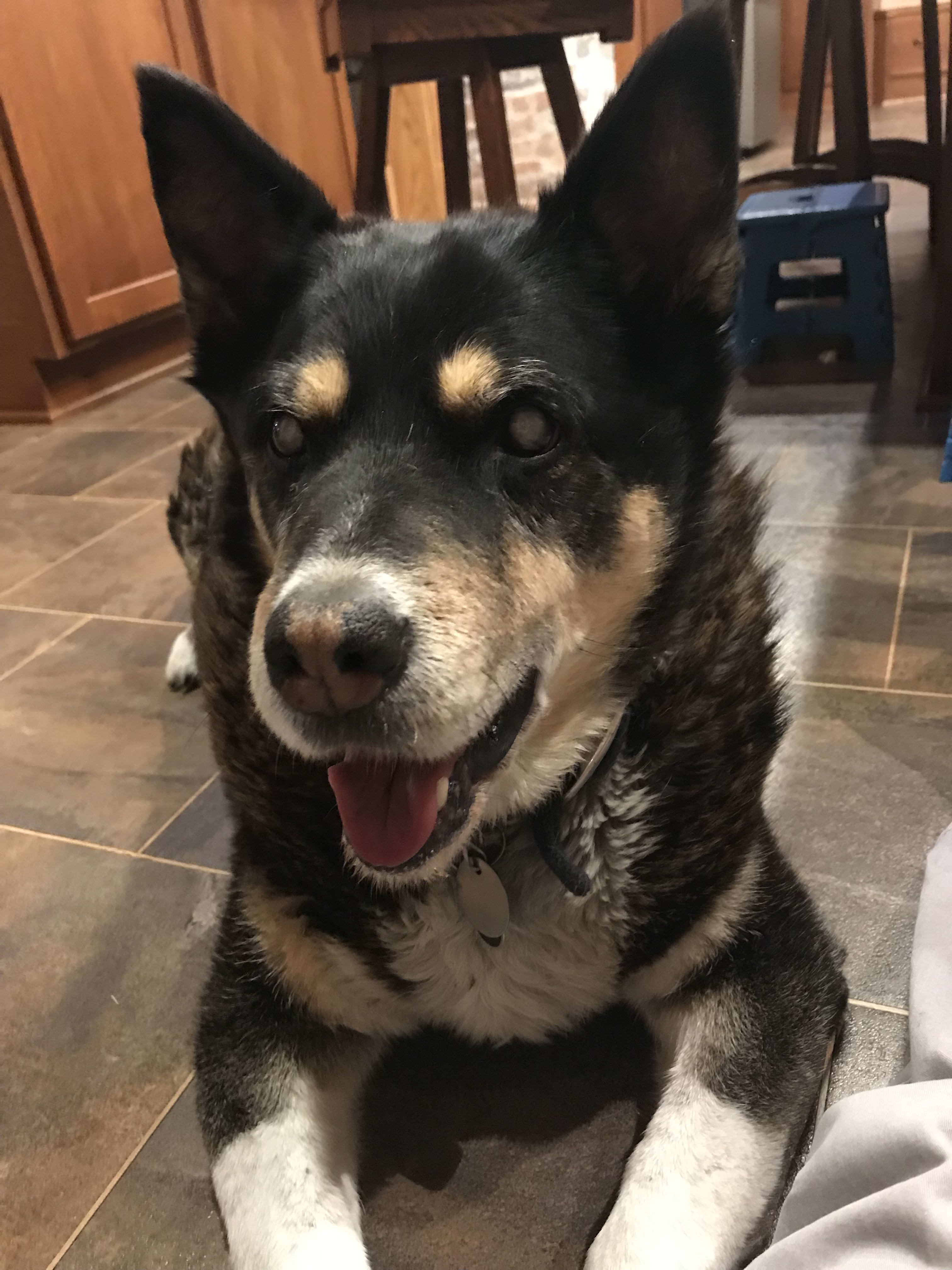 Kira
