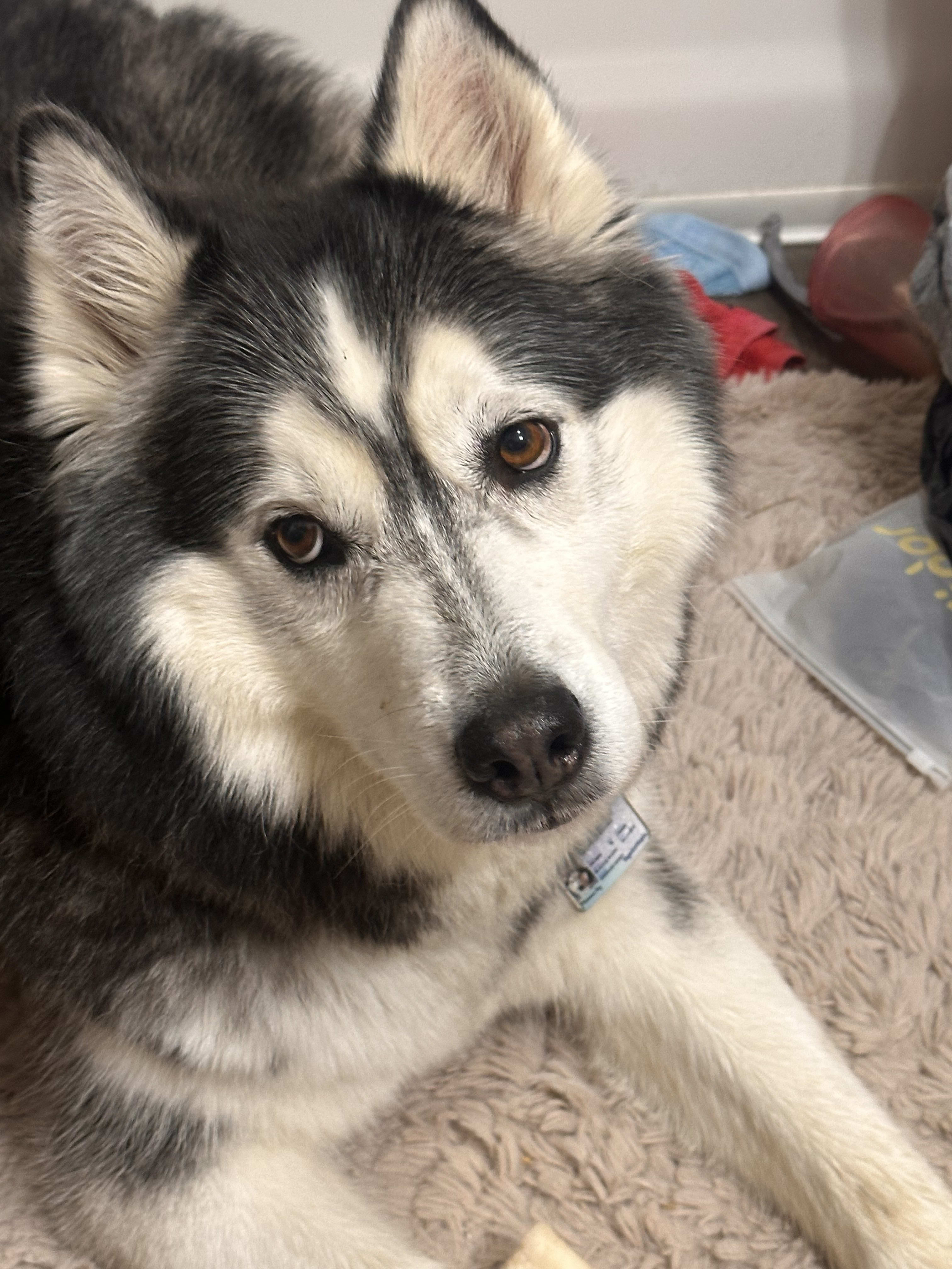 Sawyer