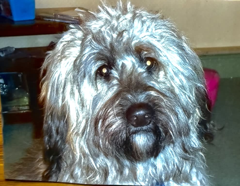 Dave