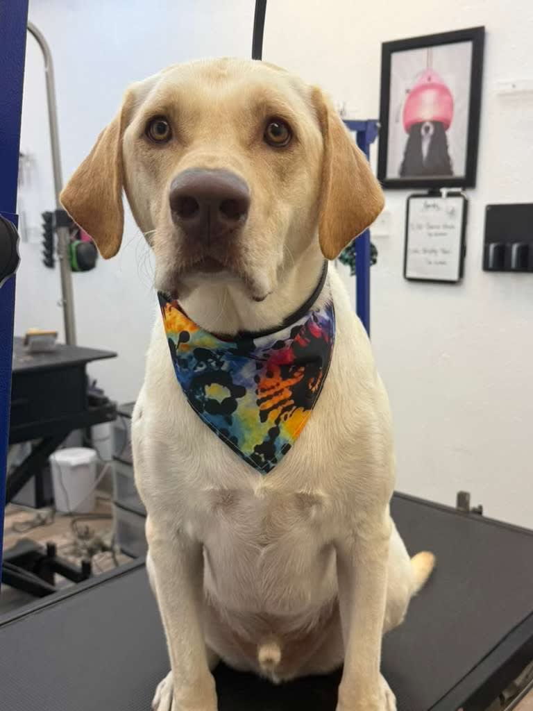 Milo Milo