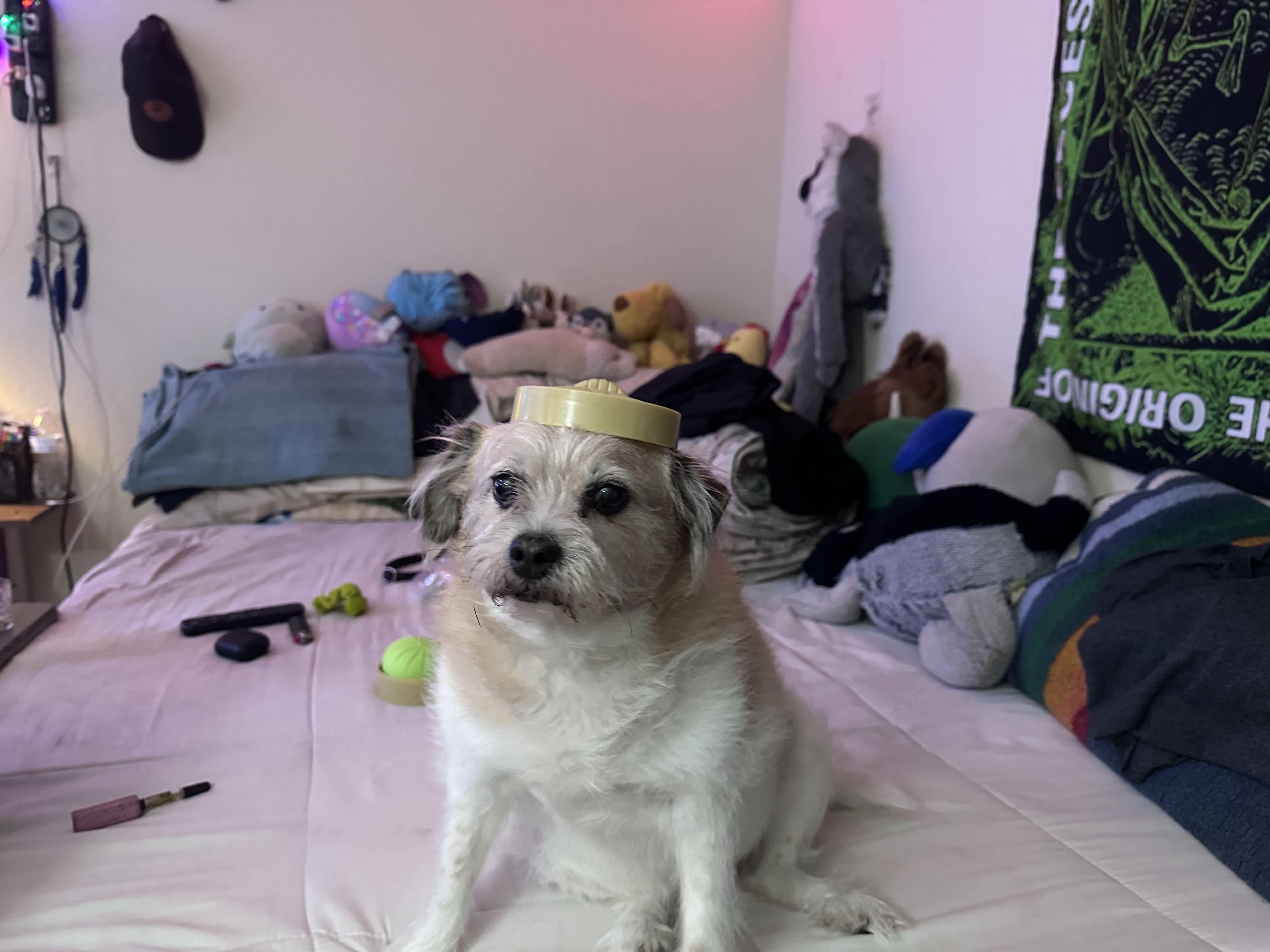 Chloe