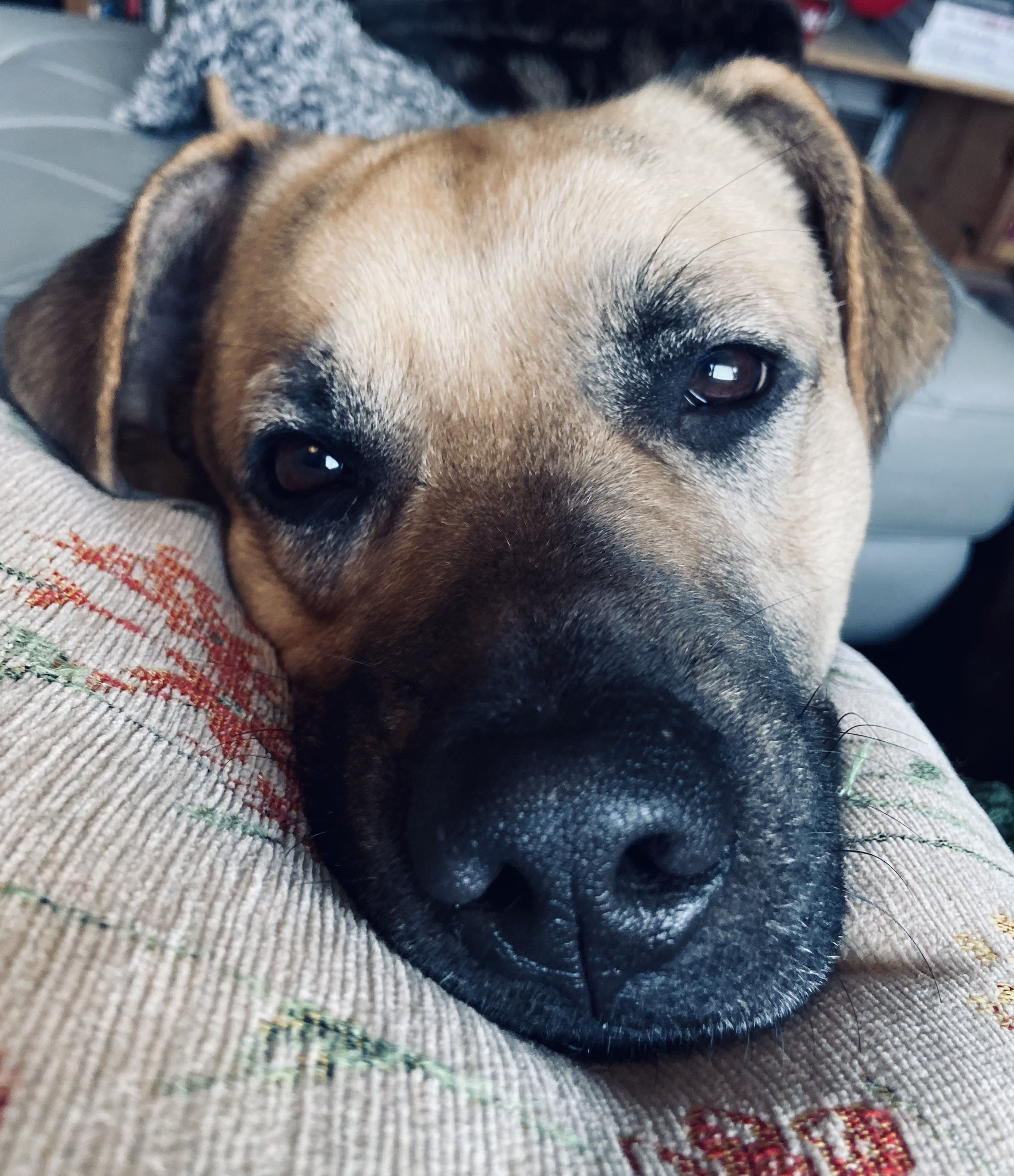 Odin Odin