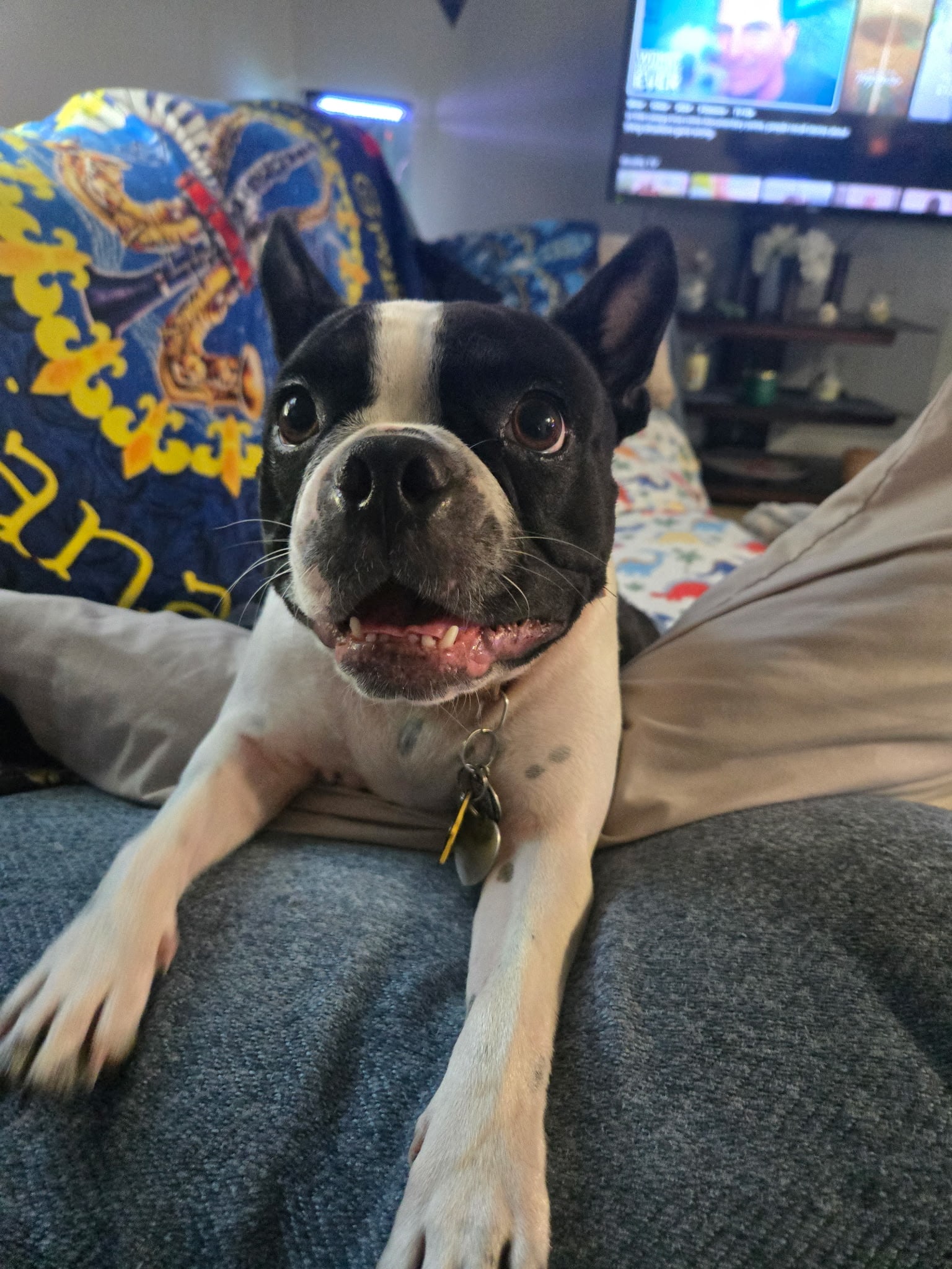 Maggie