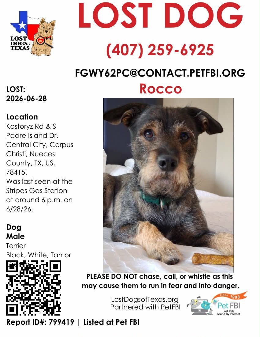 Rocco Rocco