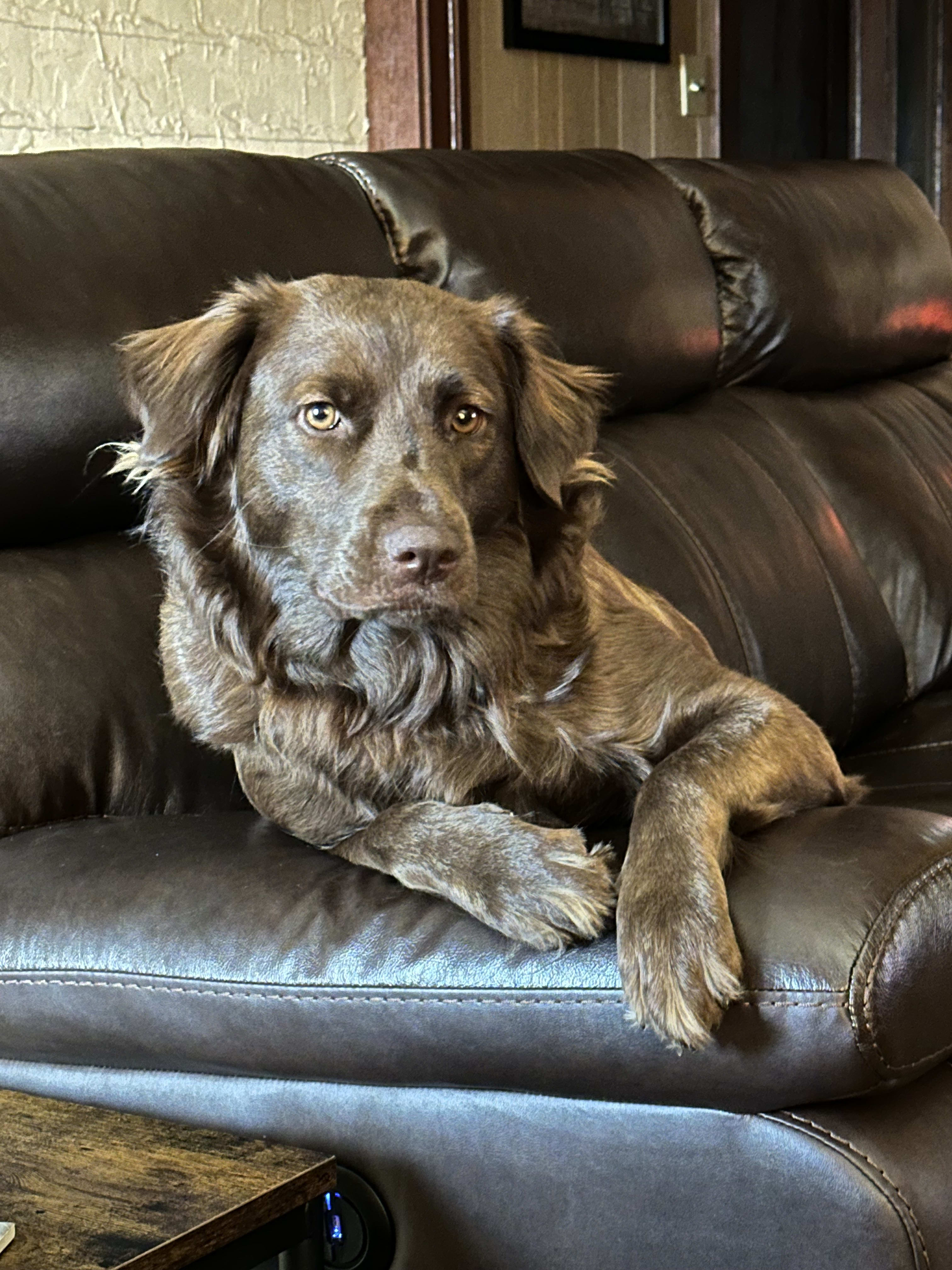 Missy Mae