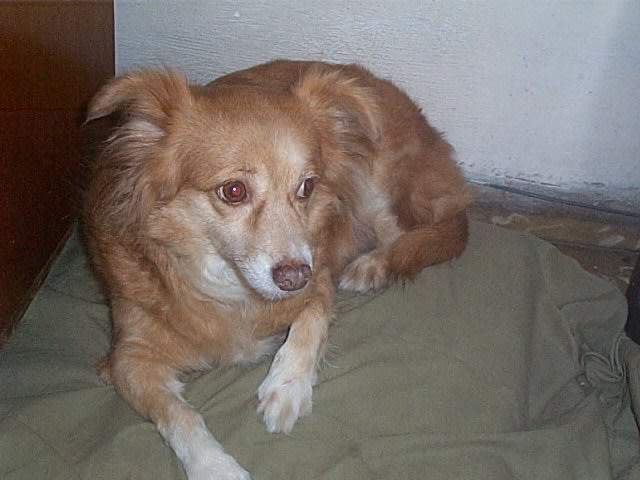 Lily