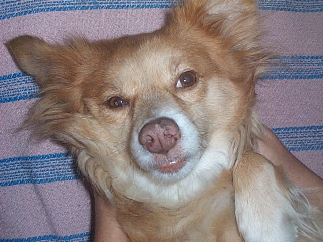 Lily