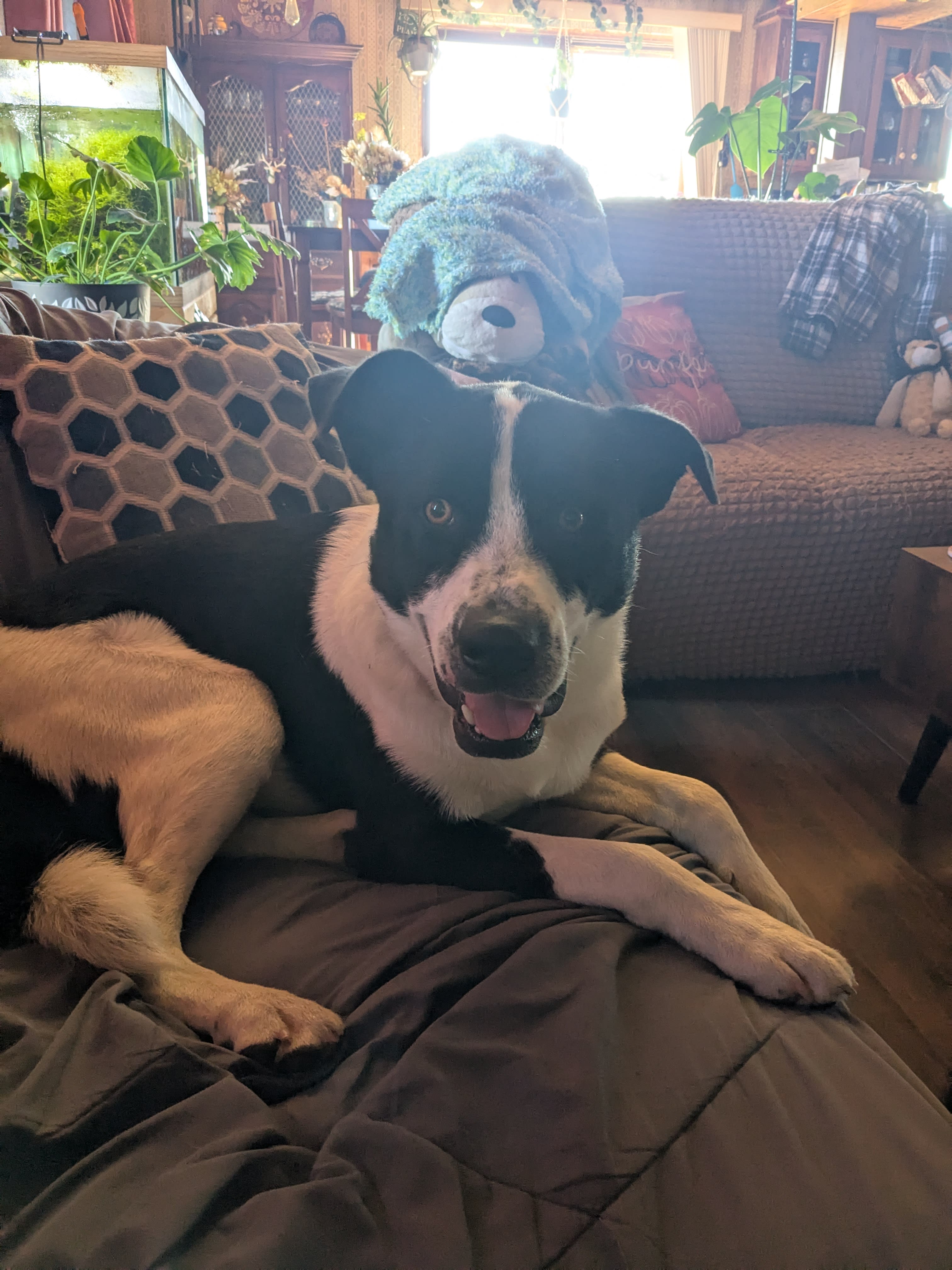 Zeus Zeus