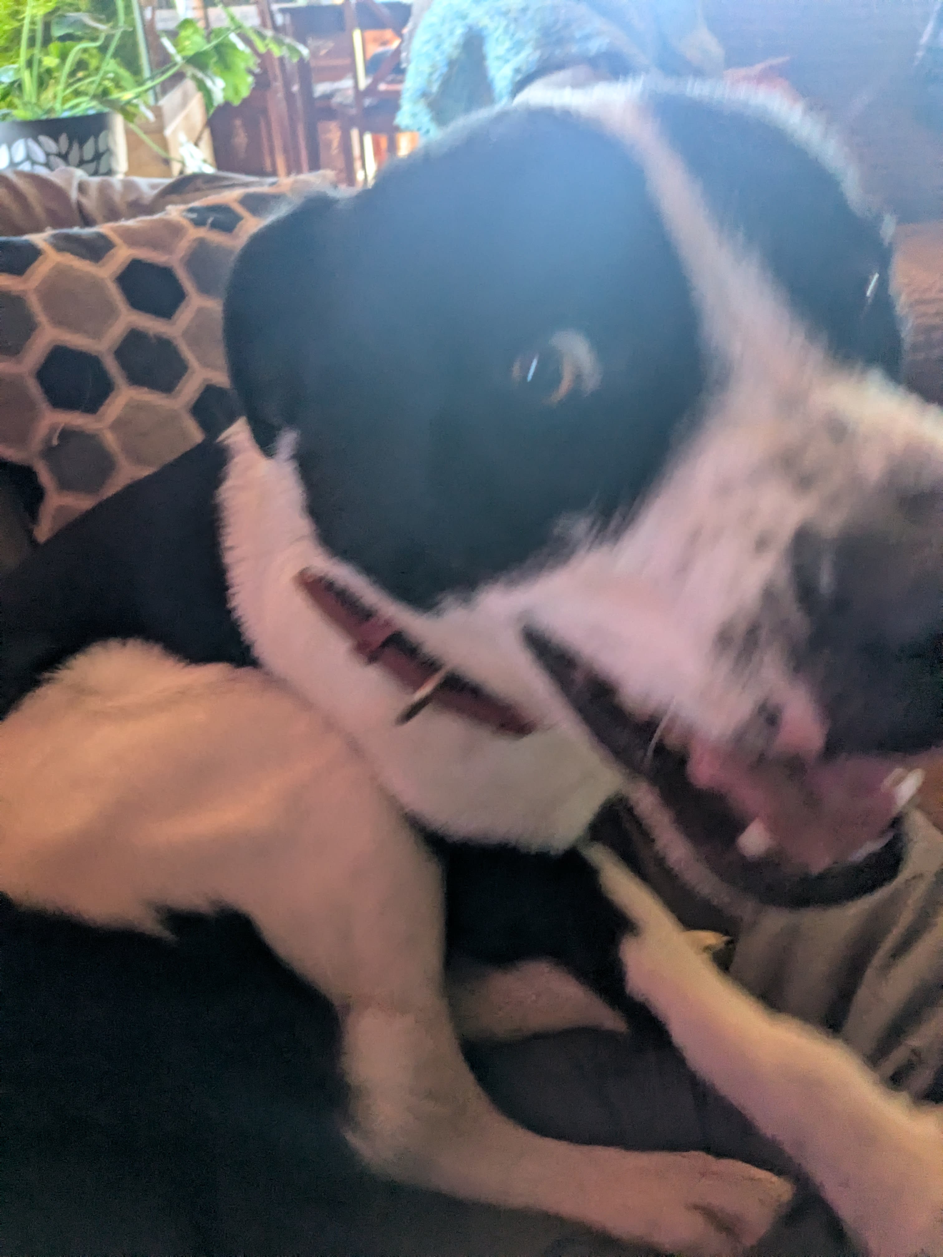 Zeus Zeus