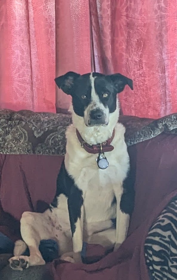 Zeus Zeus