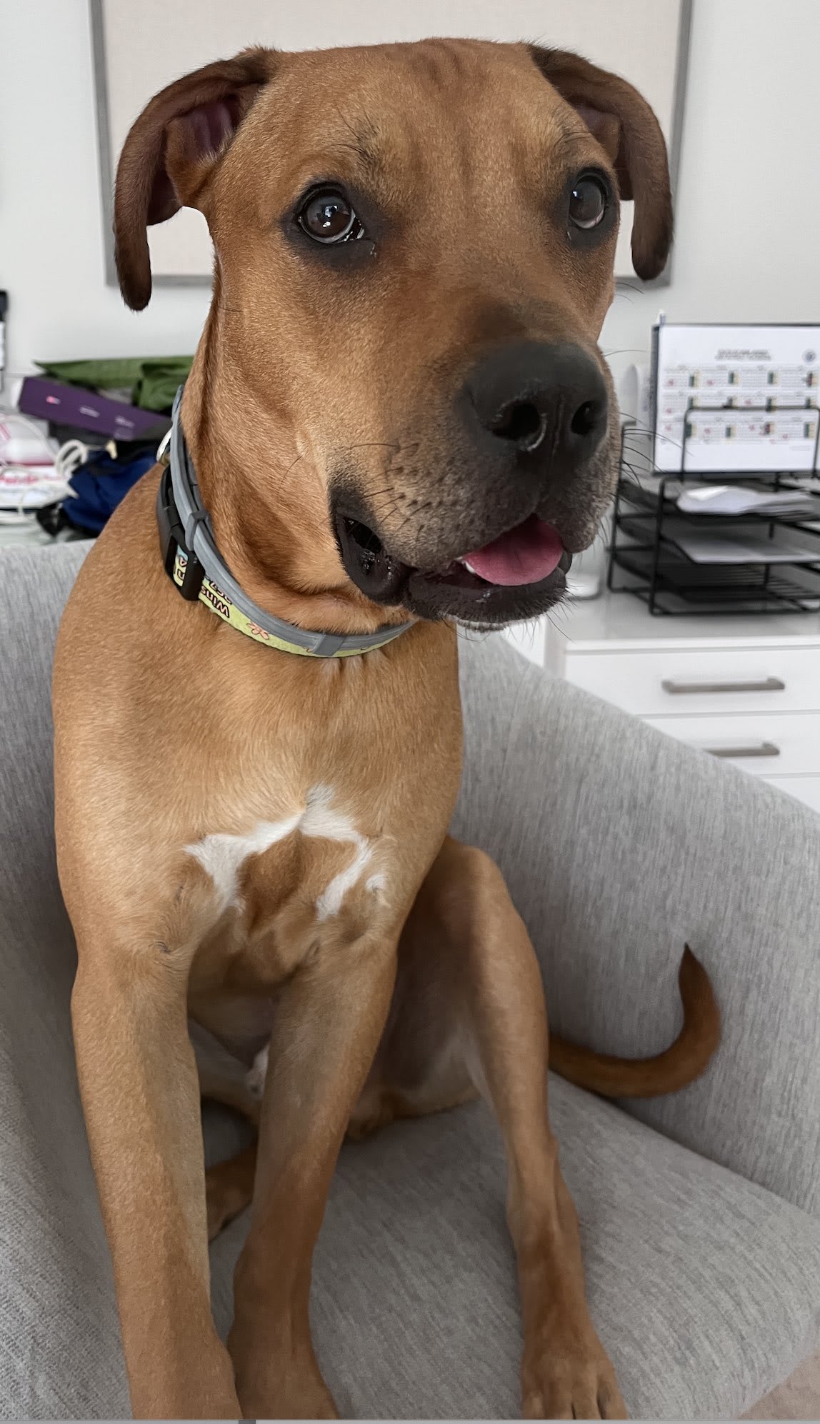 Winston Tyler