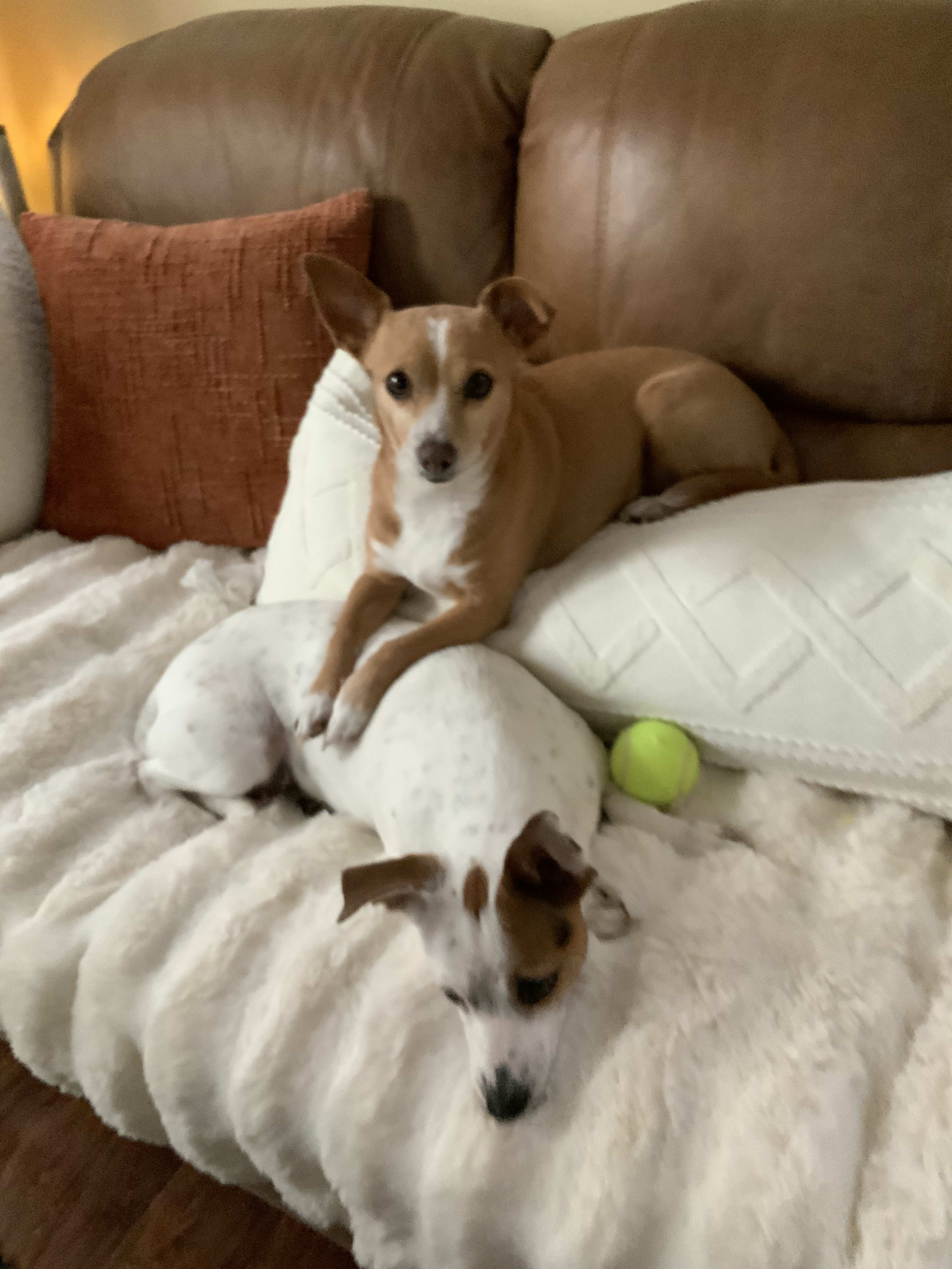 Ruby and Maggie