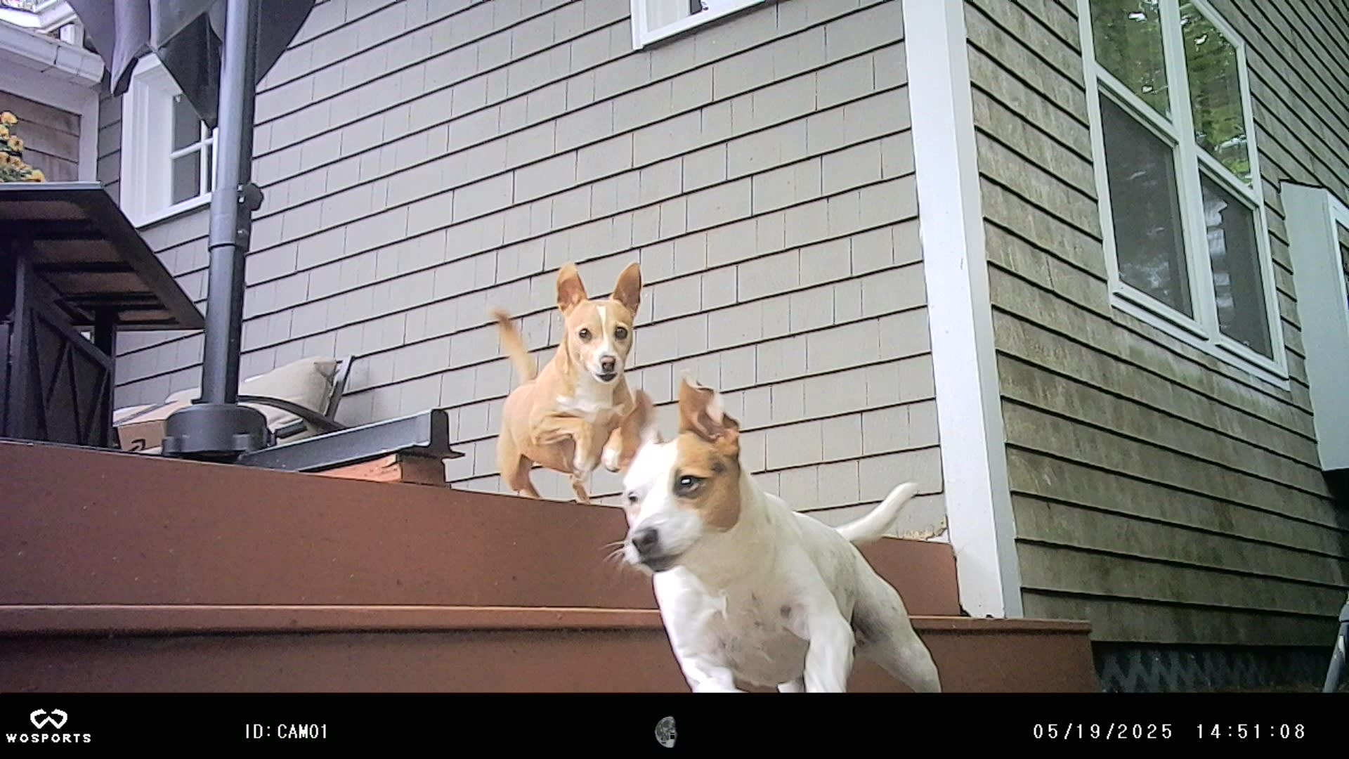 Ruby and Maggie