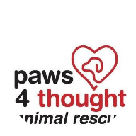 Paws4Thought