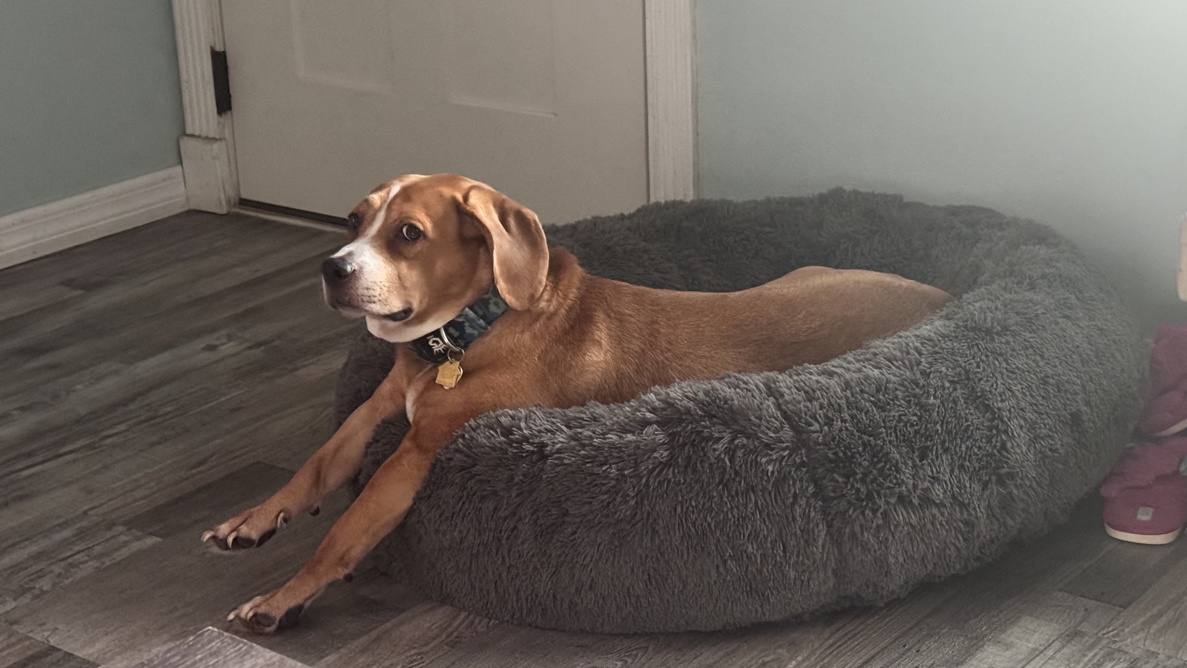 Cooper