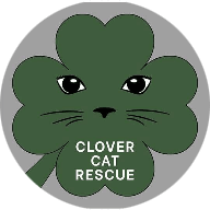 Clover Cat Rescue 