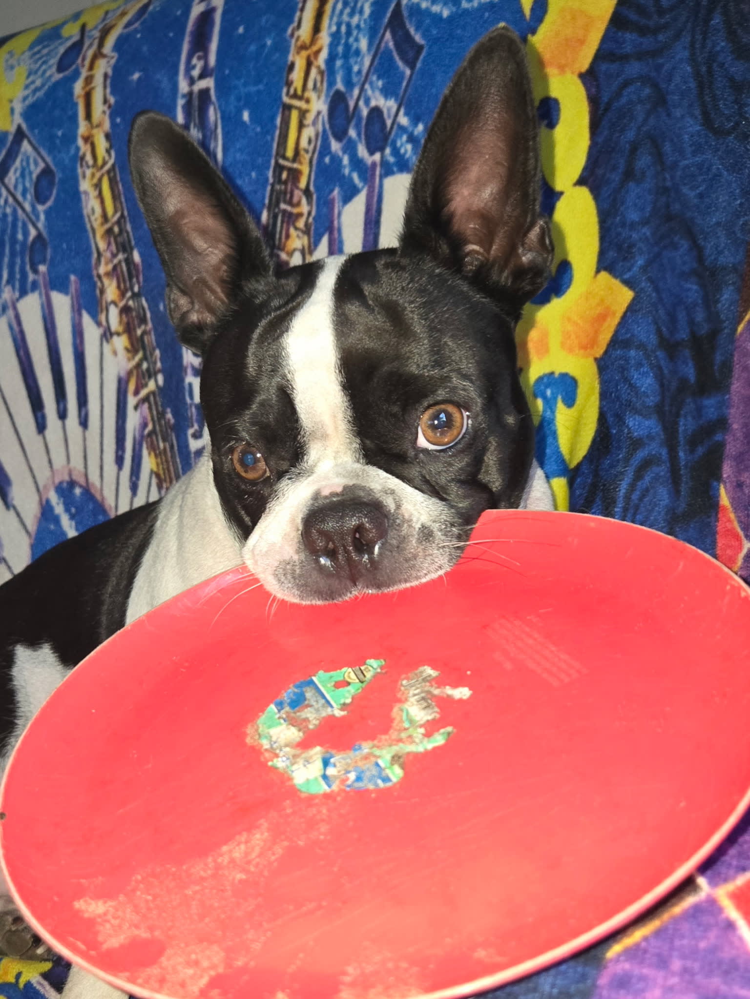 Maggie