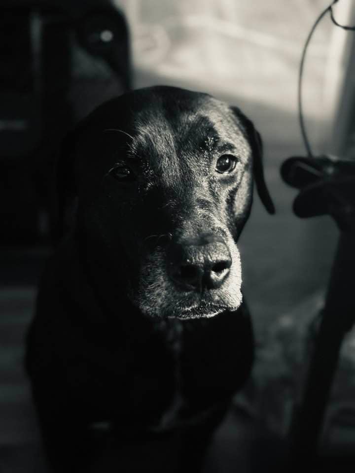 Maya