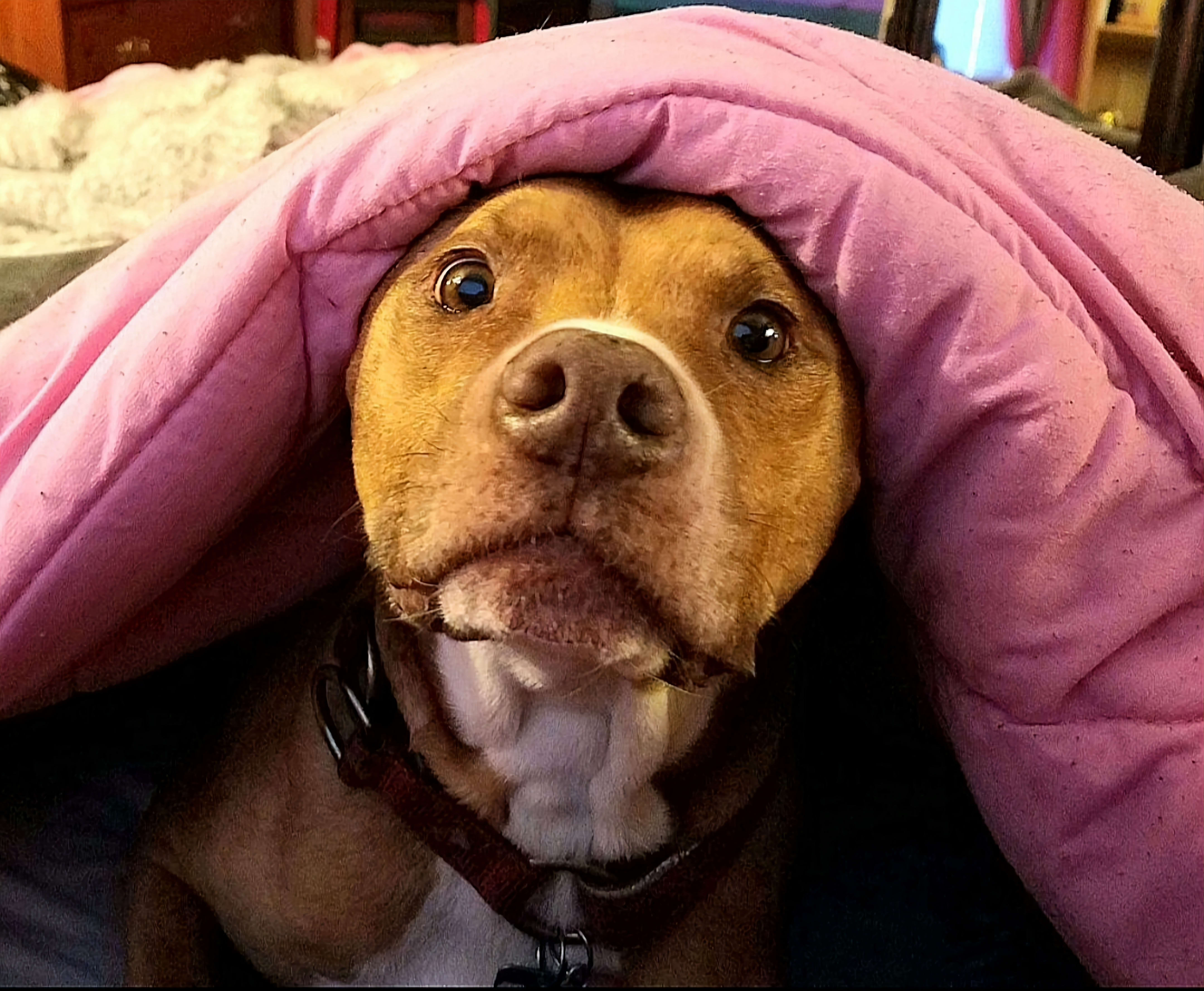 Lilly