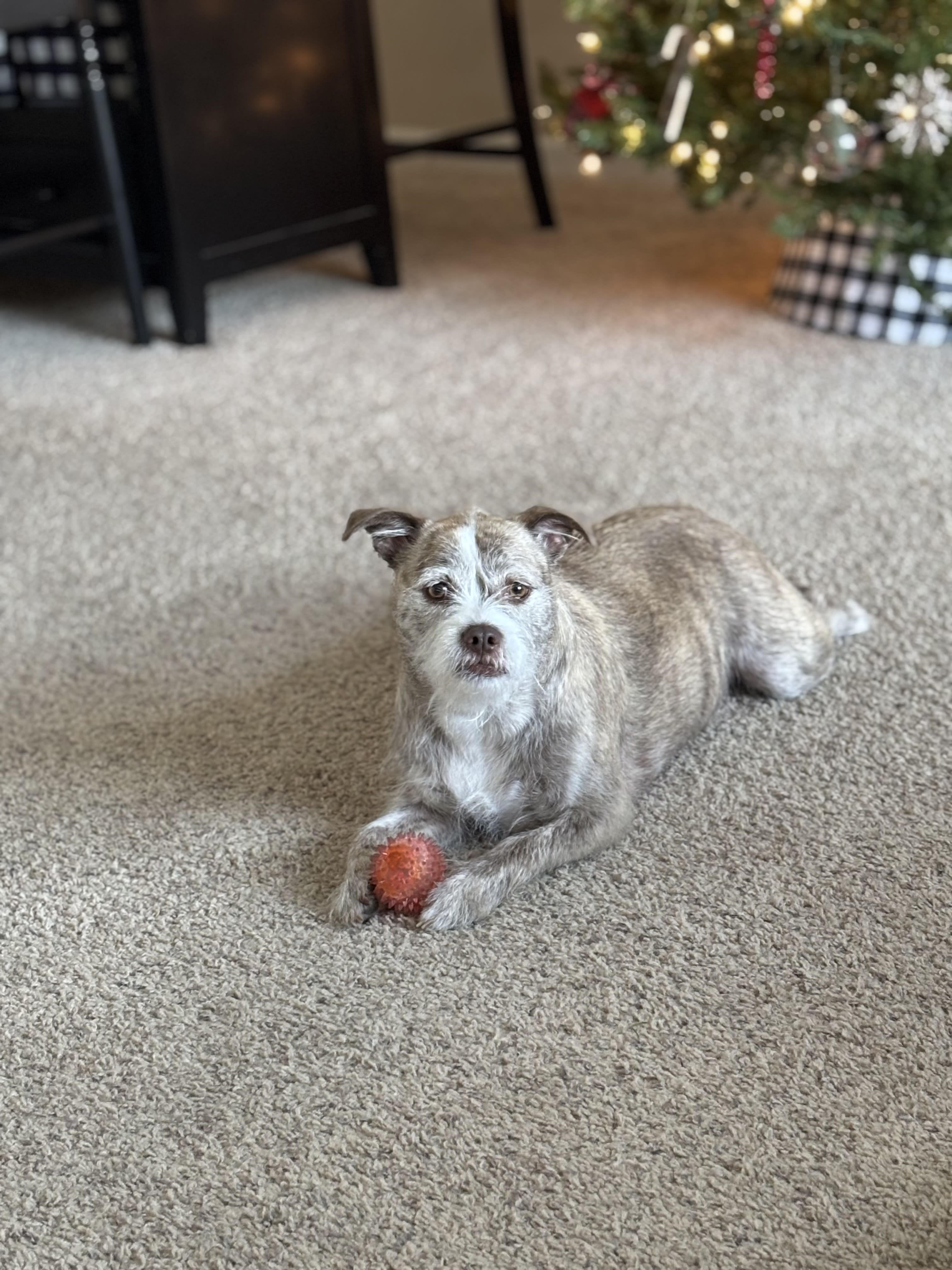 Ellie