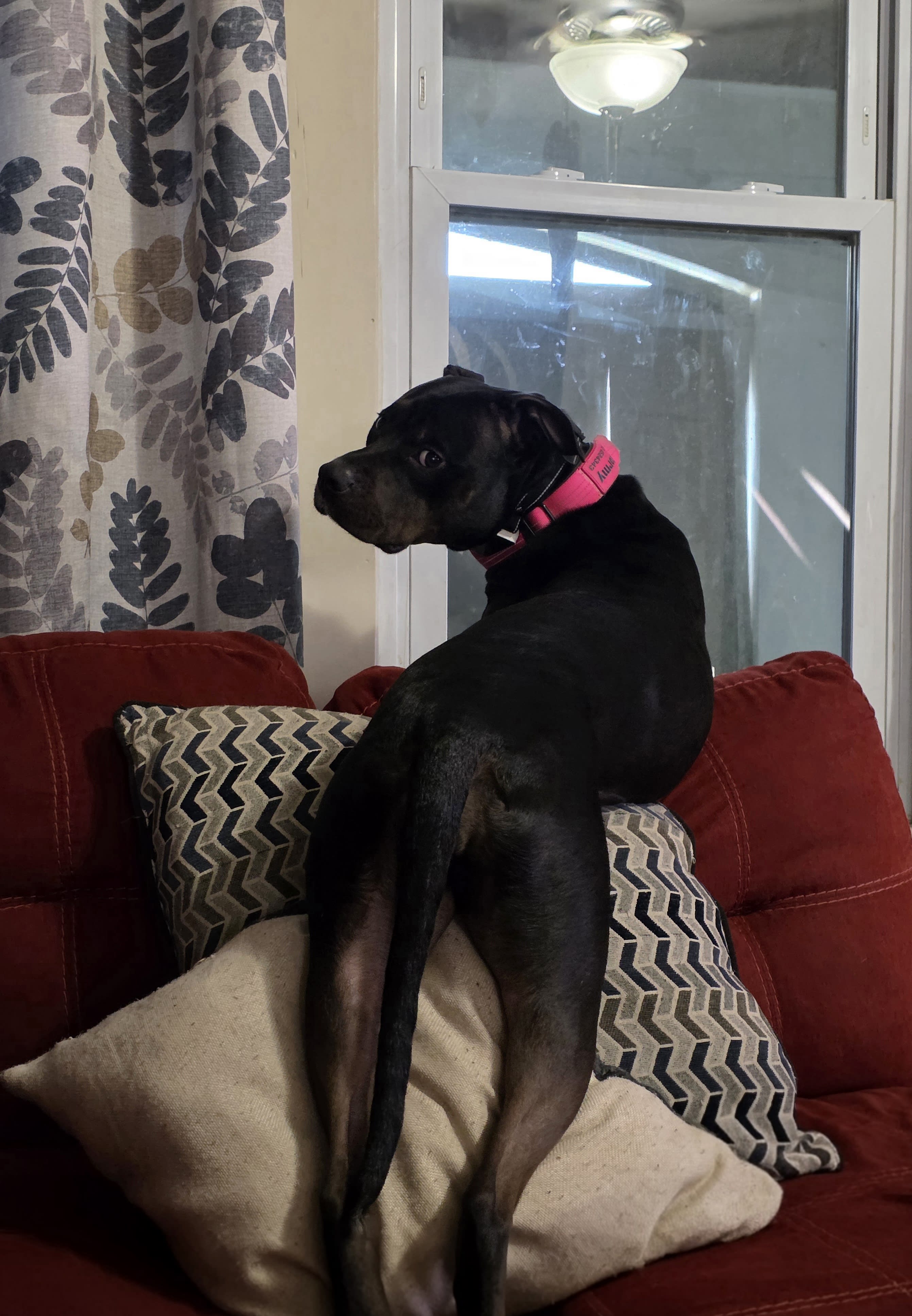 Stormy  Mea
