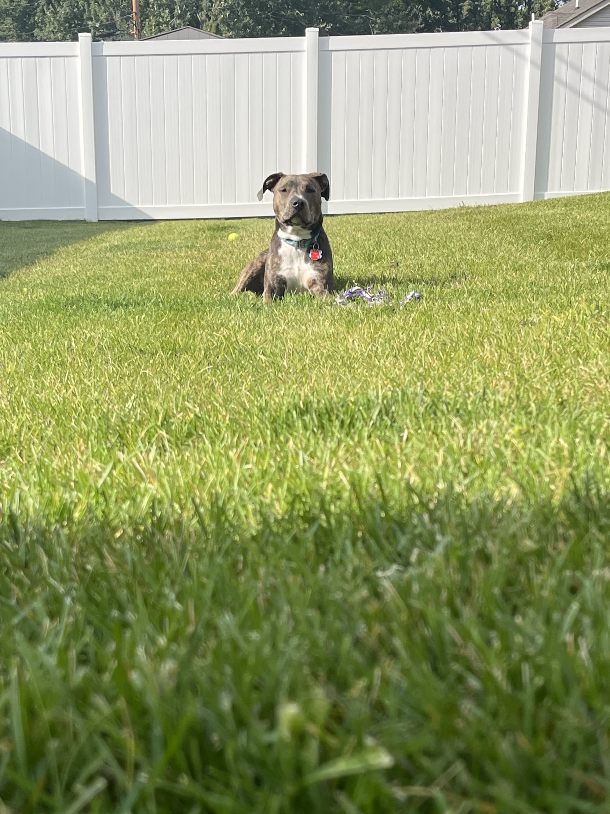 Charlie Brown