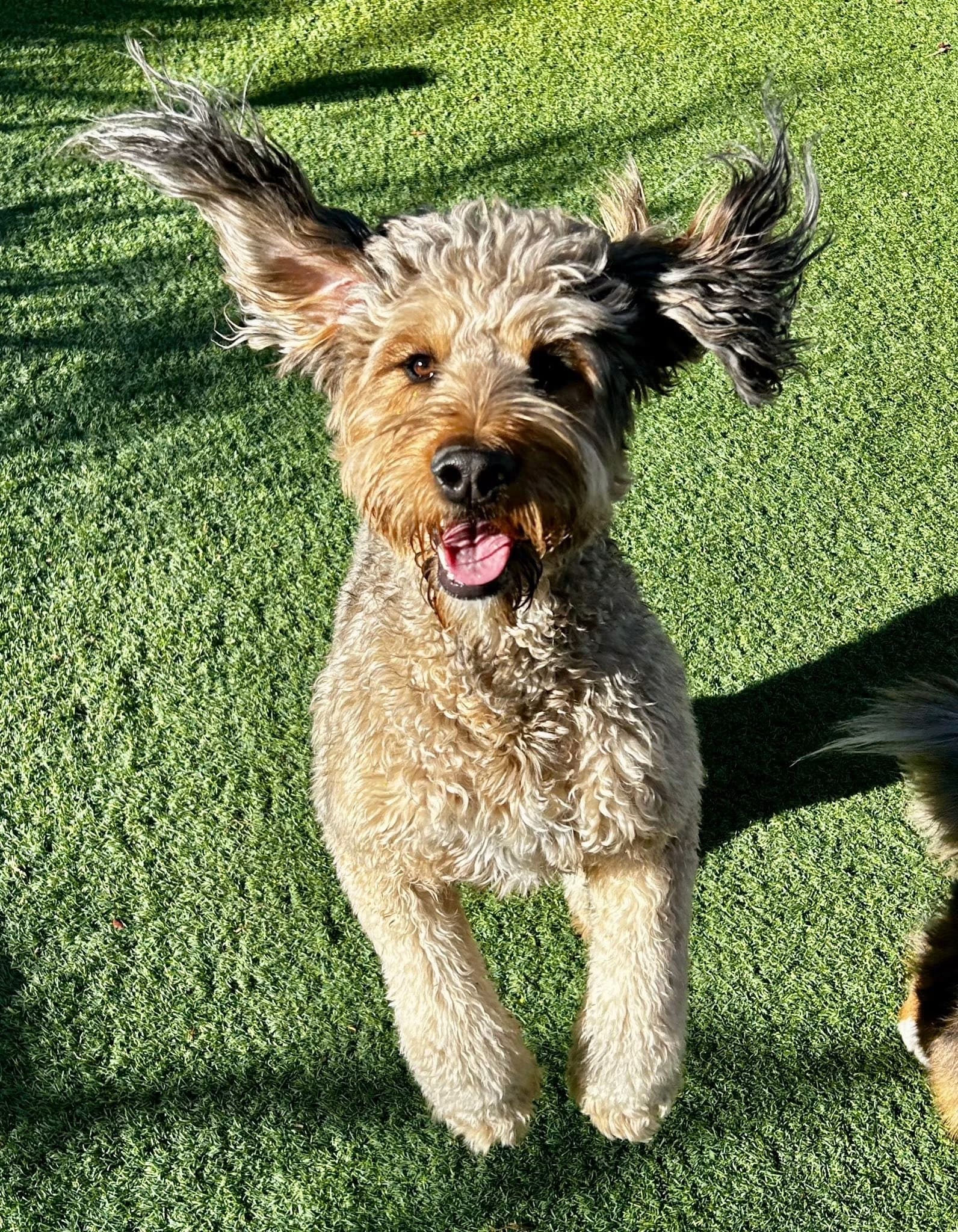 Ethel
